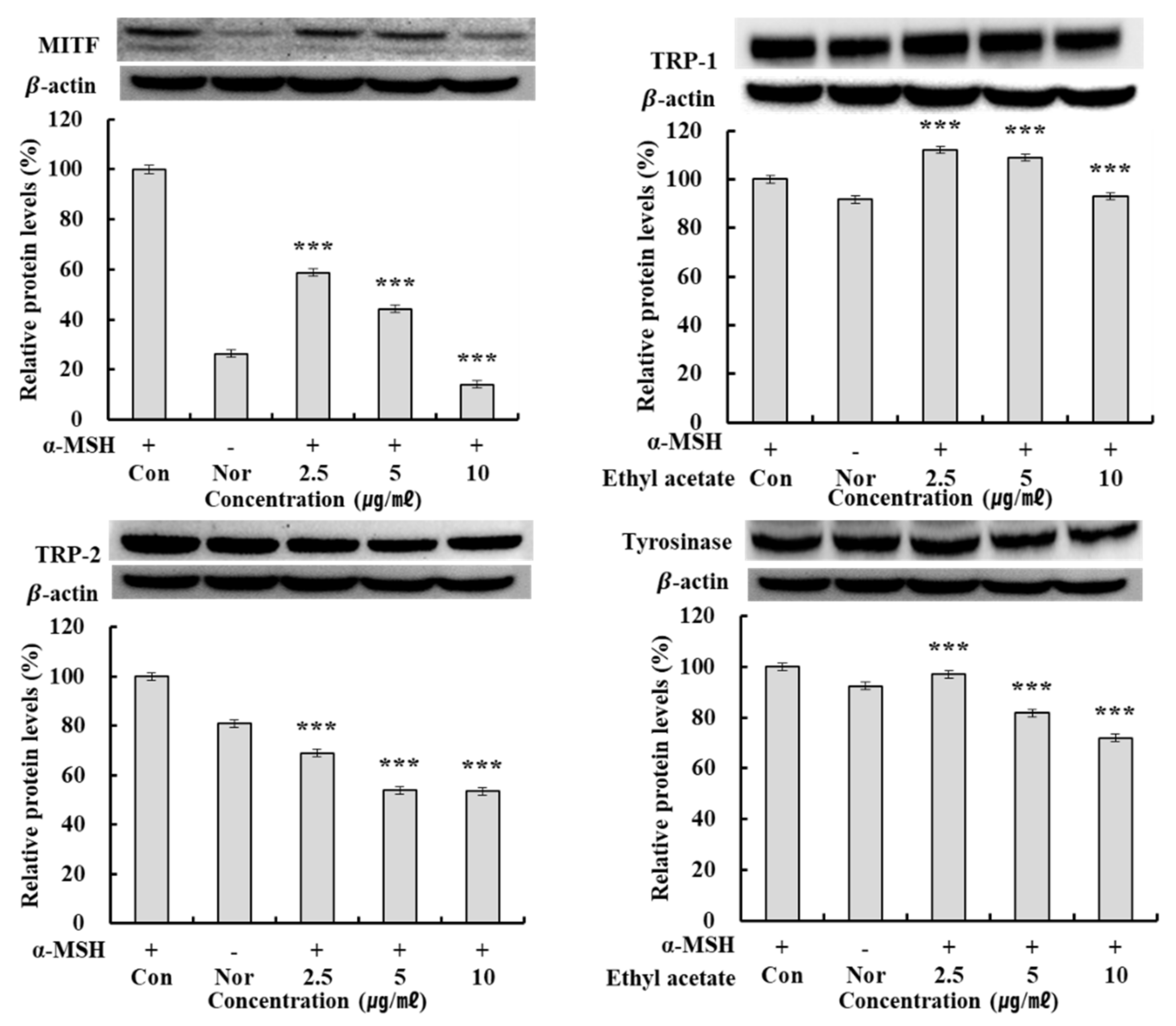Molecules 27 05441 g005 Molecules 27 05441 g005