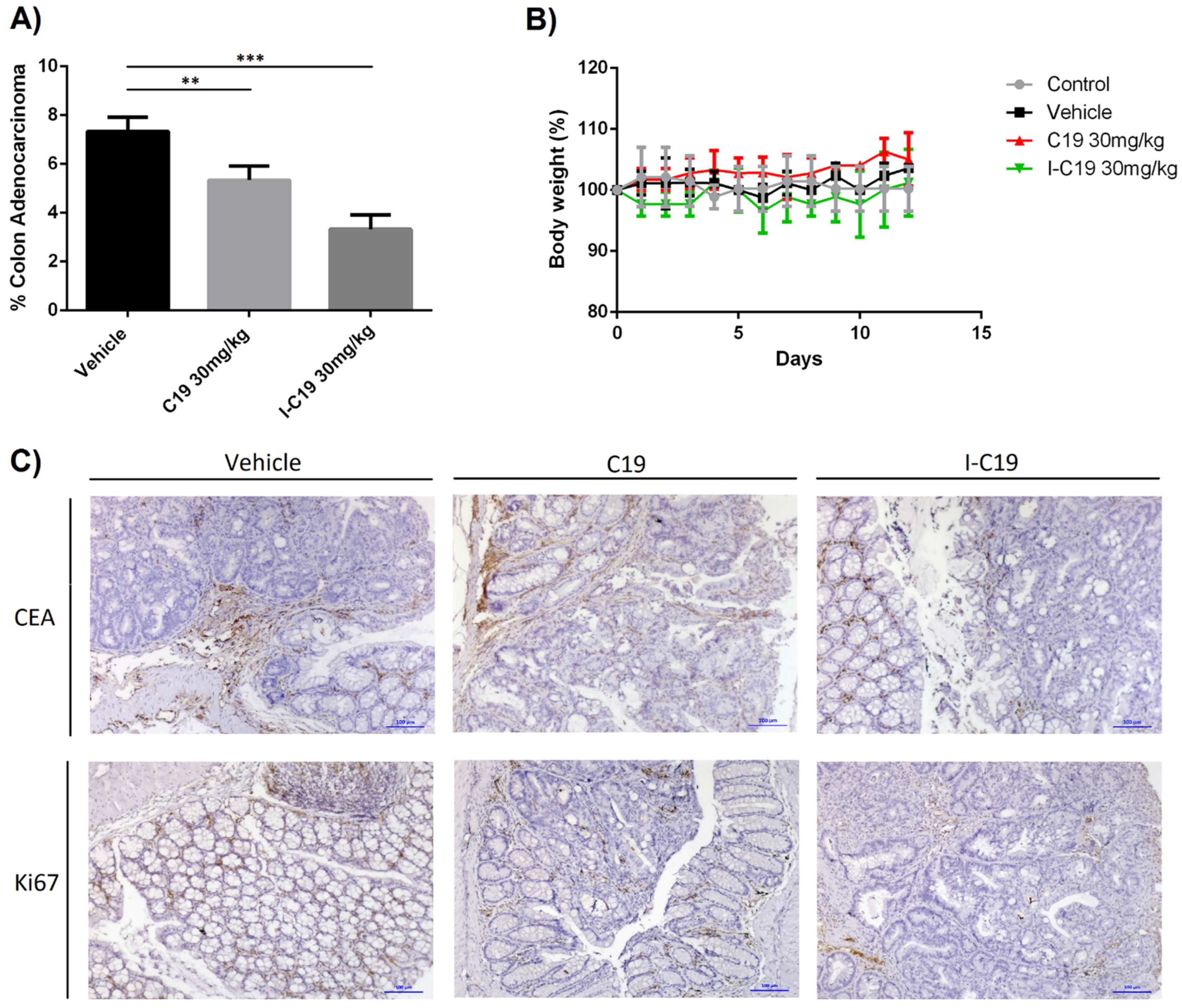 Molecules 27 05446 g007 550