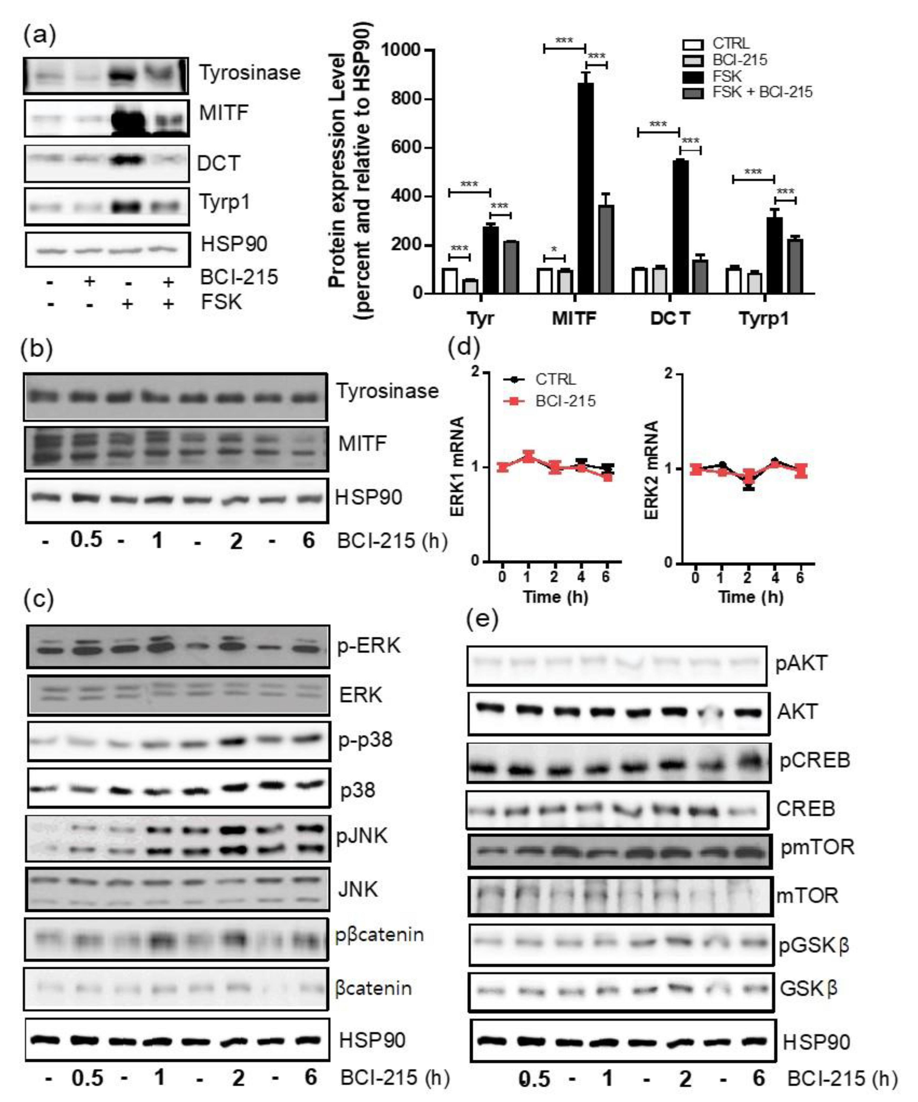 Molecules 27 05449 g004 Molecules 27 05449 g004