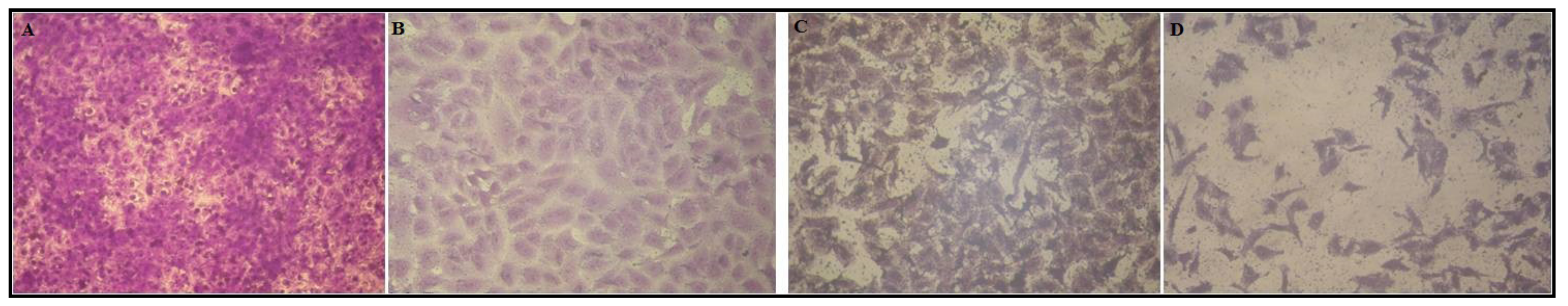 Molecules 27 05453 g003