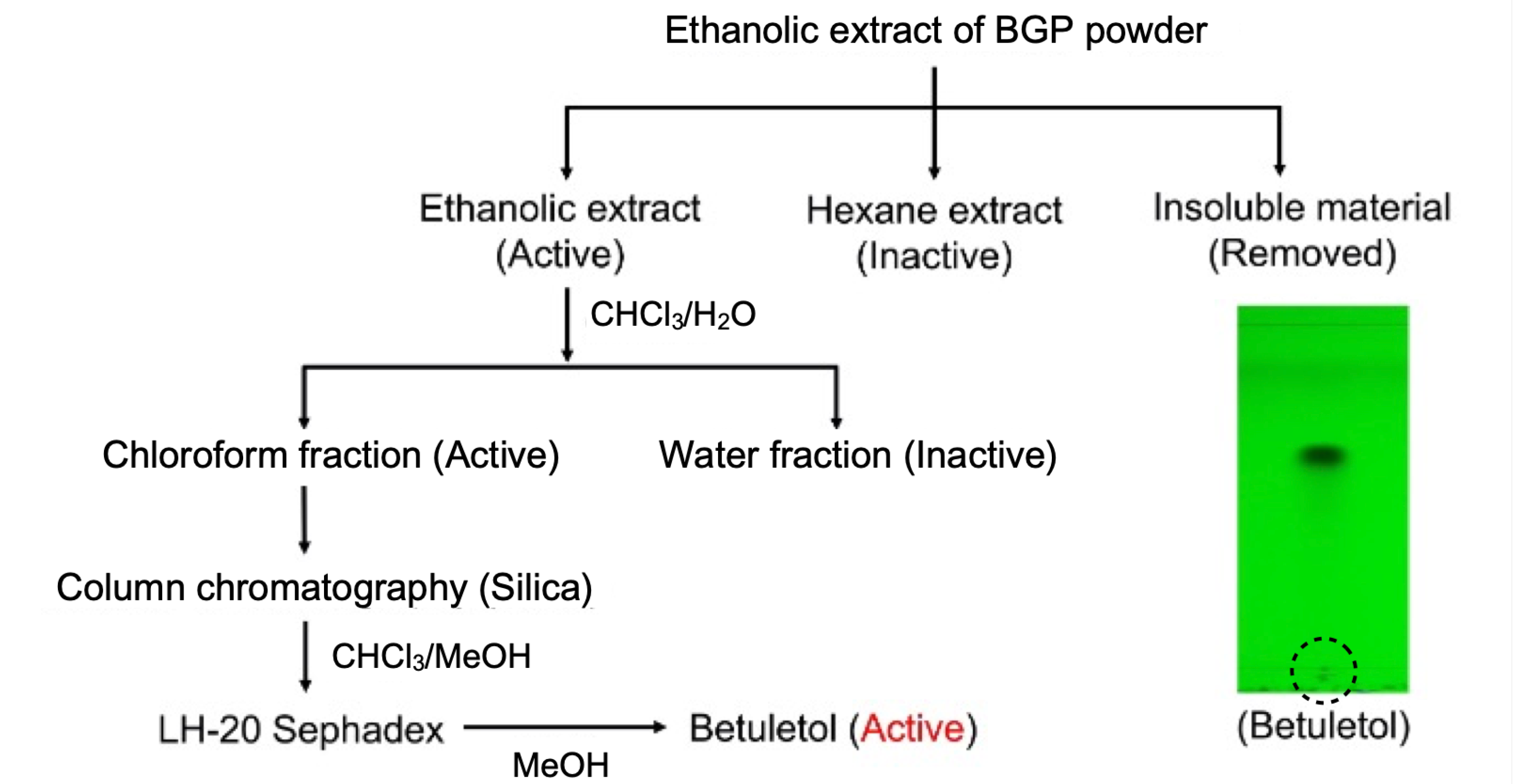 Molecules 27 05459 g001 550