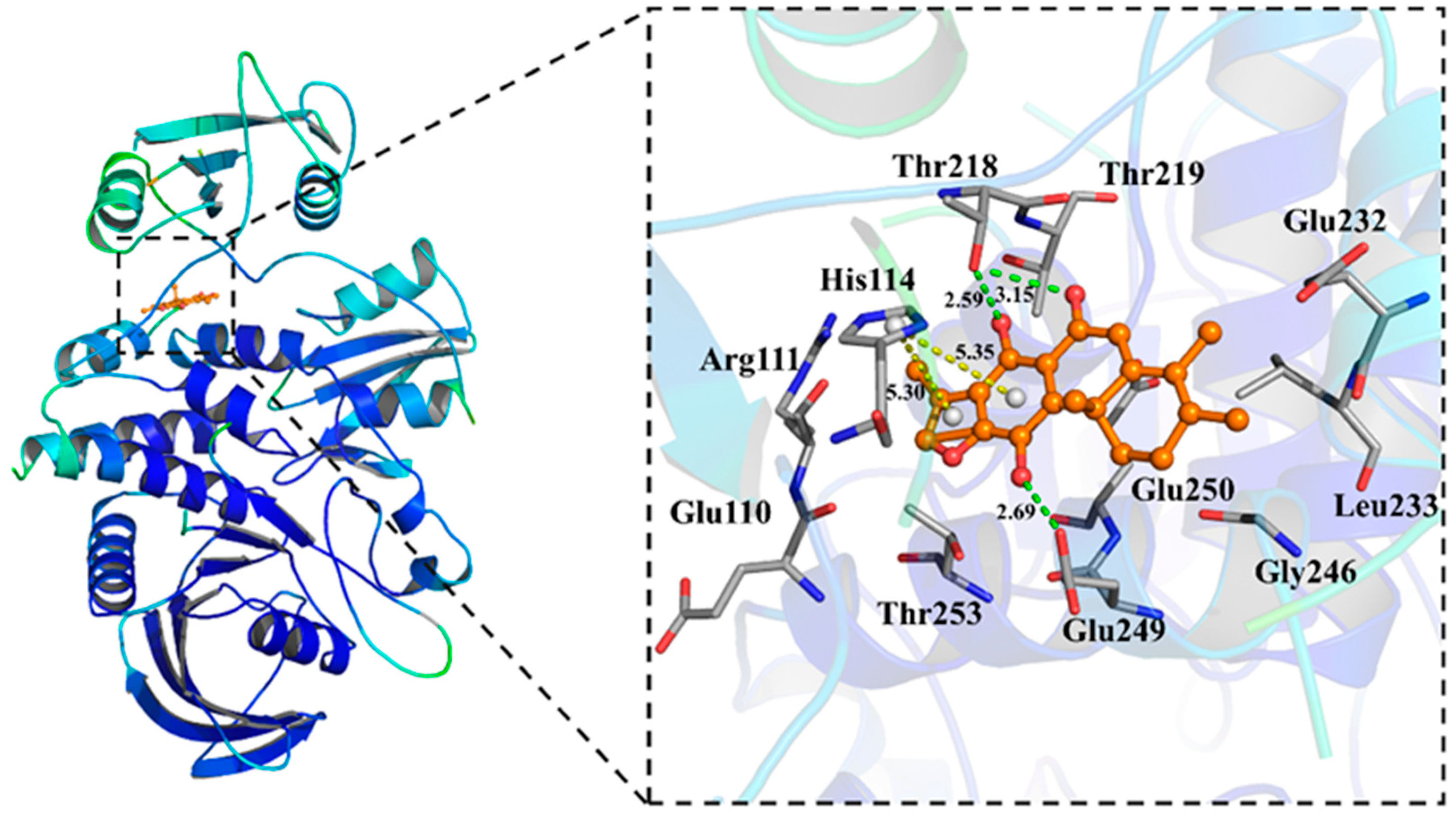 Molecules 27 05469 g003