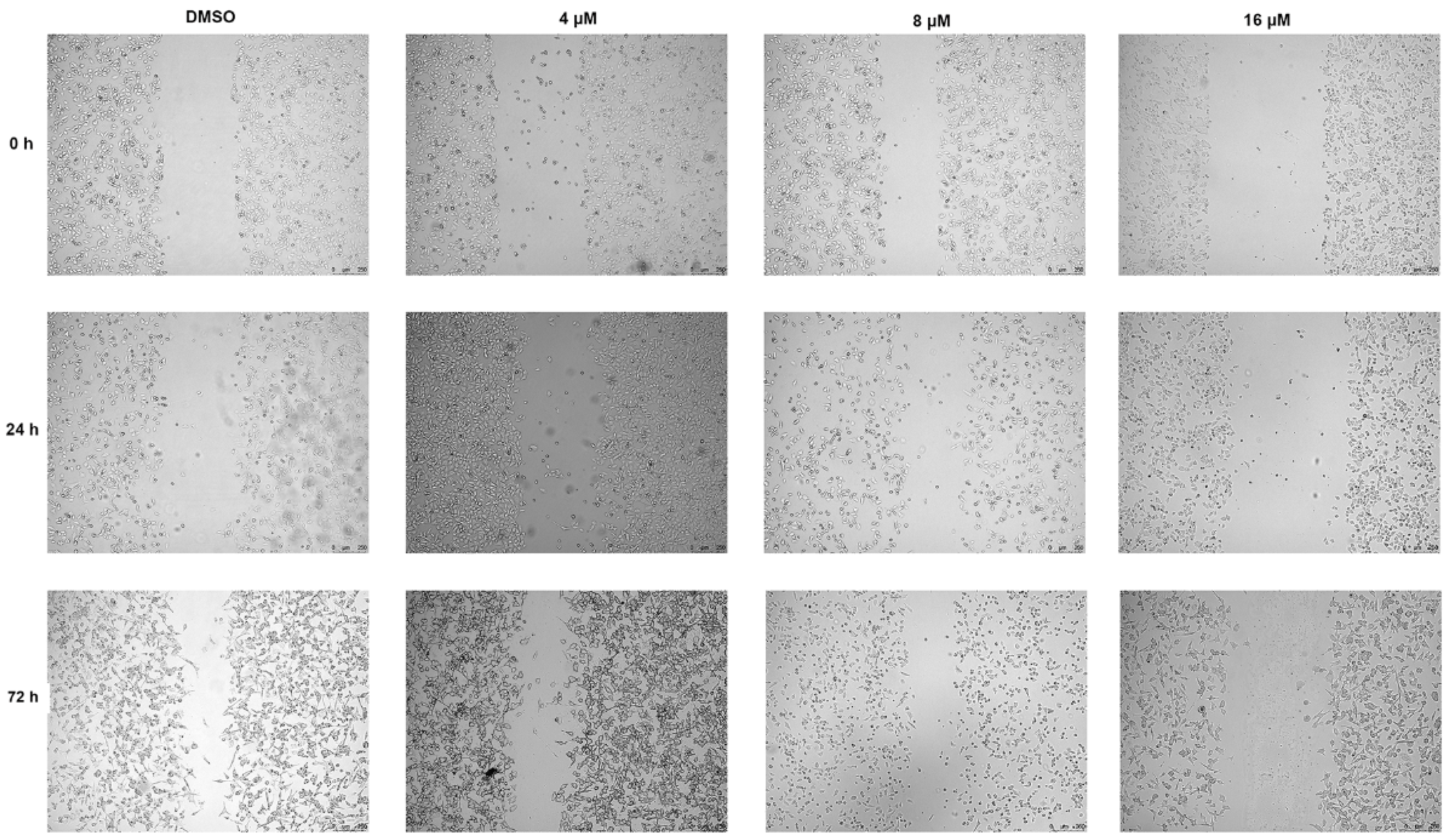 Molecules 27 05469 g005