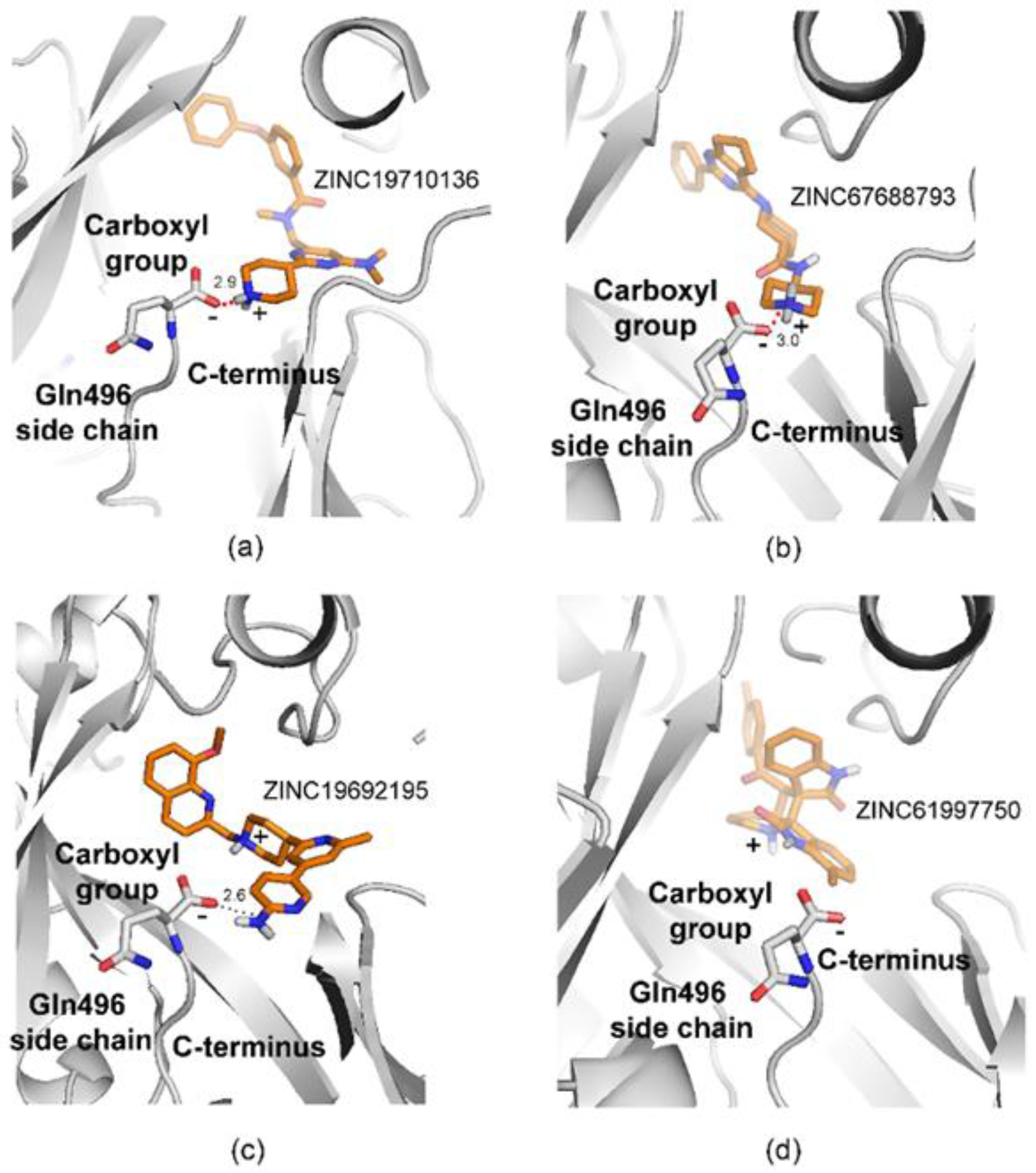 Molecules 27 05478 g005 550
