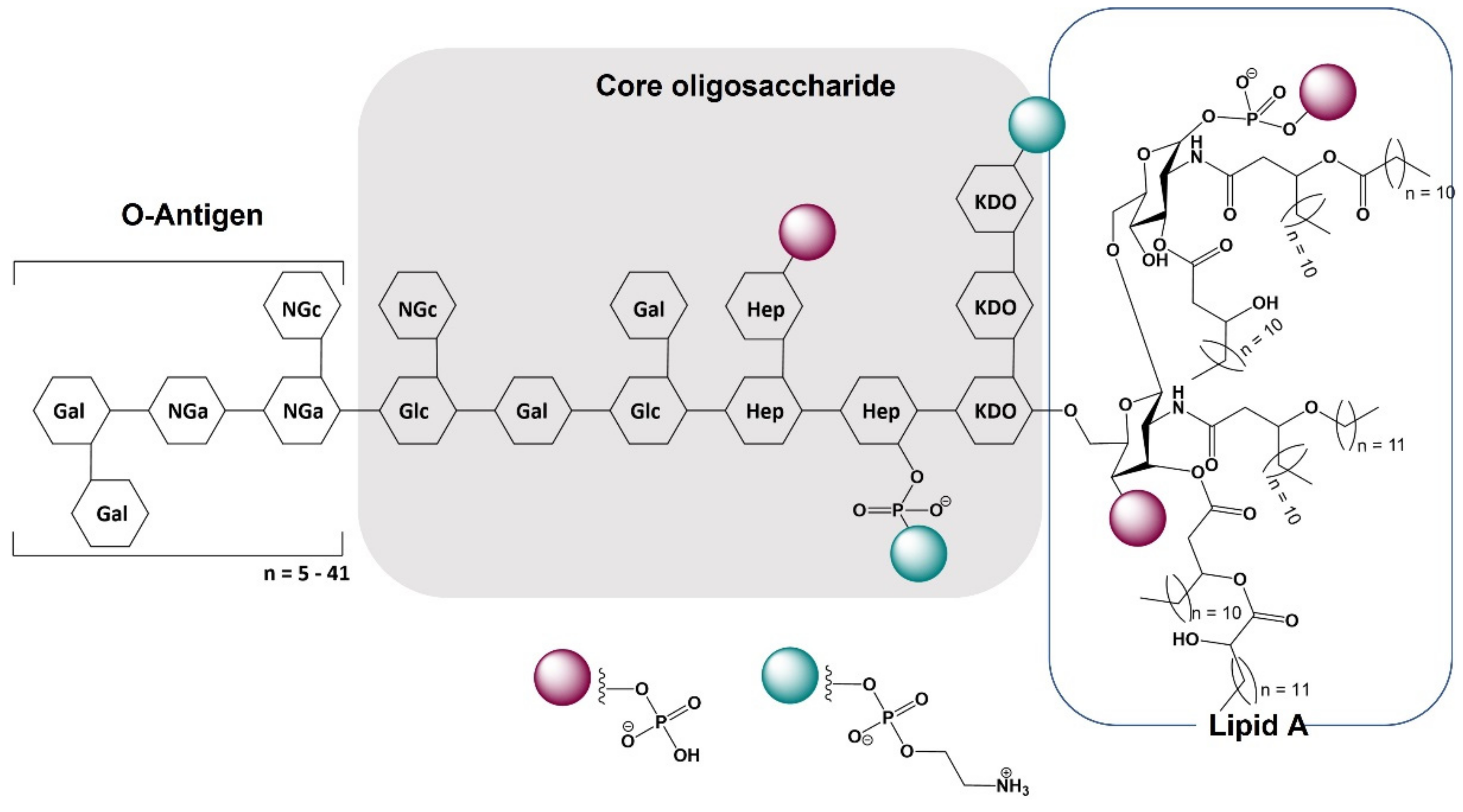 Molecules 27 05481 g001 550