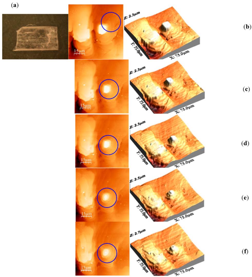 Molecules 27 05482 g001