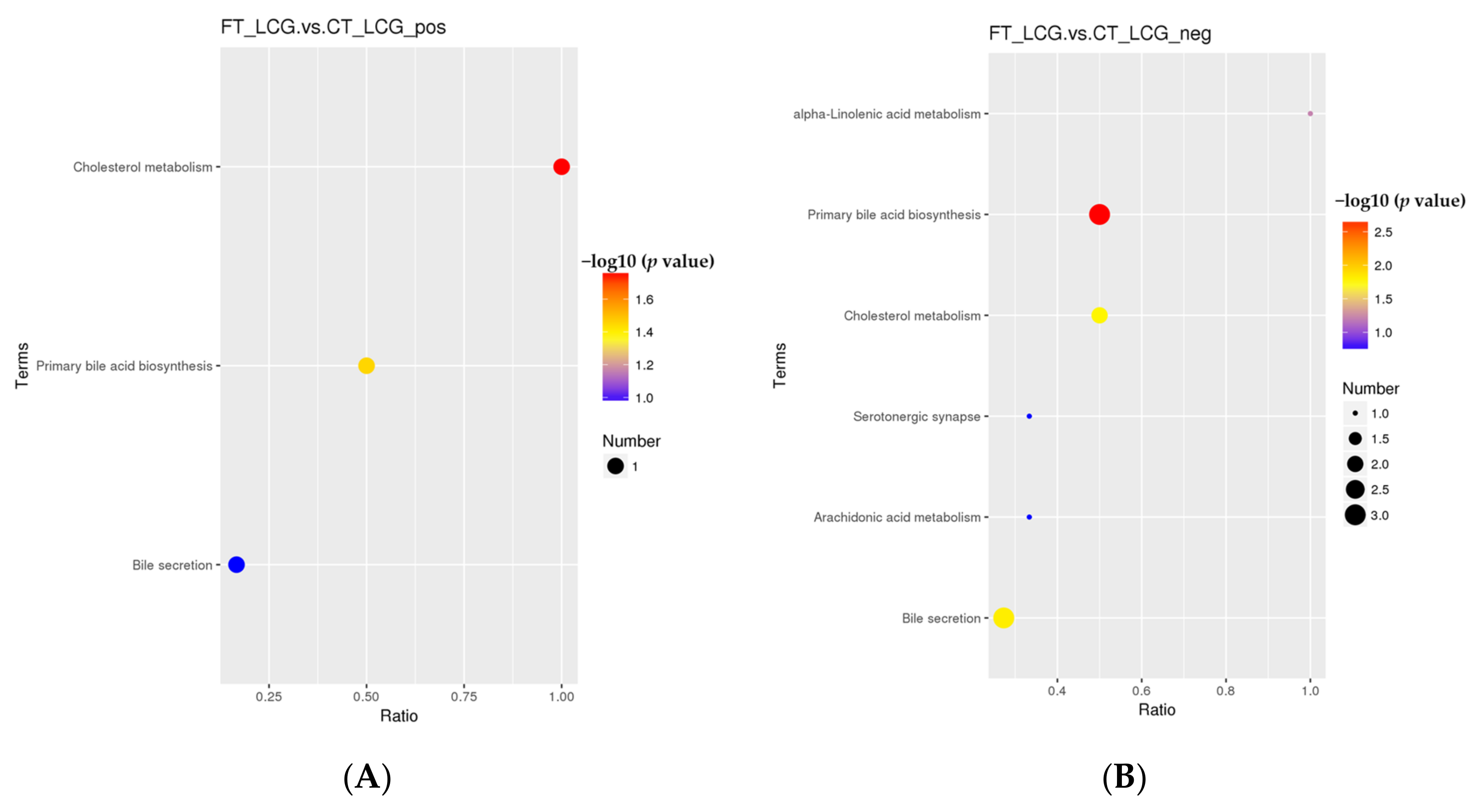 Molecules 27 05483 g010