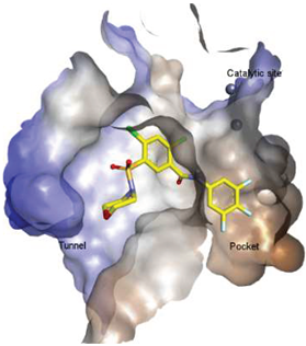 Molecules 27 05487 i003 Molecules 27 05487 i003