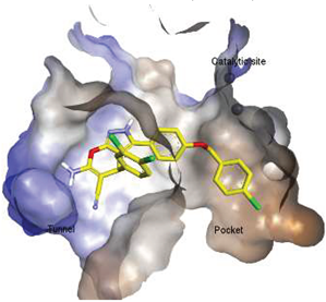Molecules 27 05487 i009 Molecules 27 05487 i009