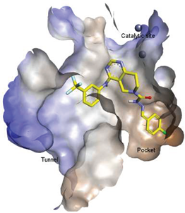 Molecules 27 05487 i012 Molecules 27 05487 i012