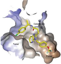 Molecules 27 05487 i017 Molecules 27 05487 i017
