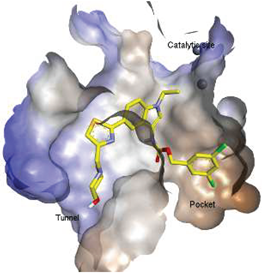 Molecules 27 05487 i019 Molecules 27 05487 i019