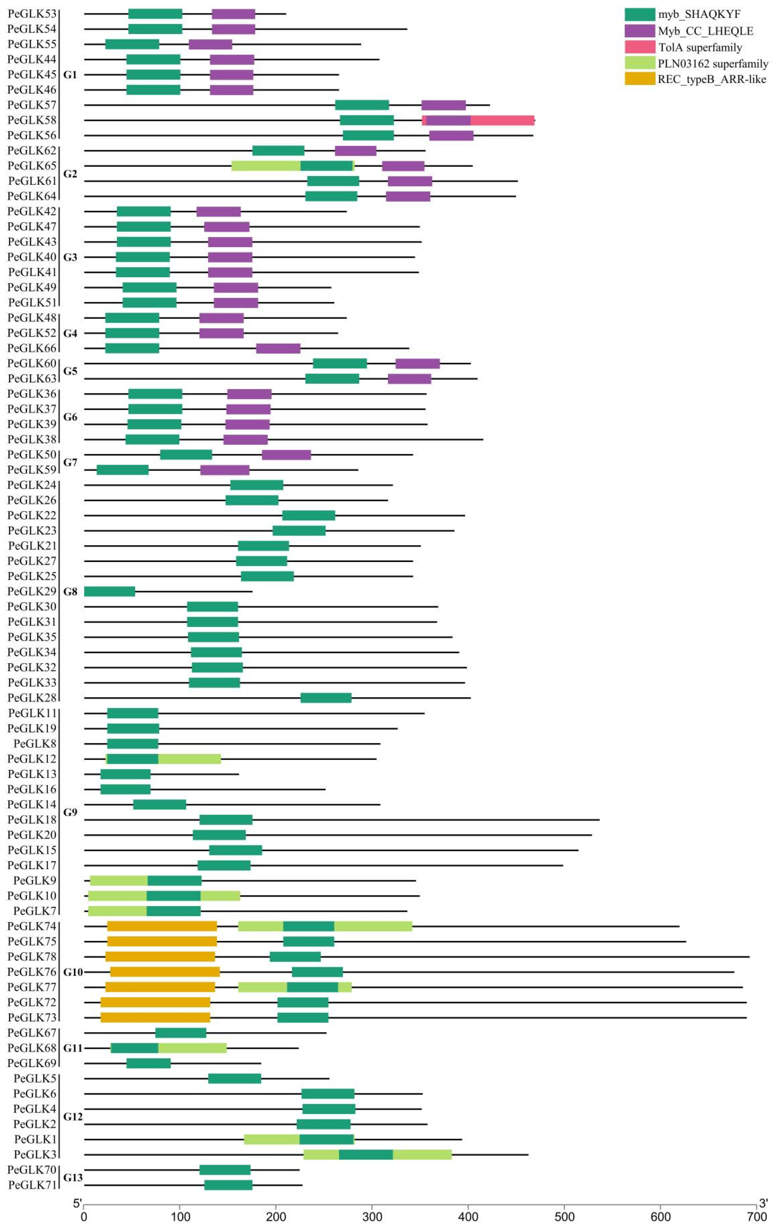 Molecules 27 05491 g001