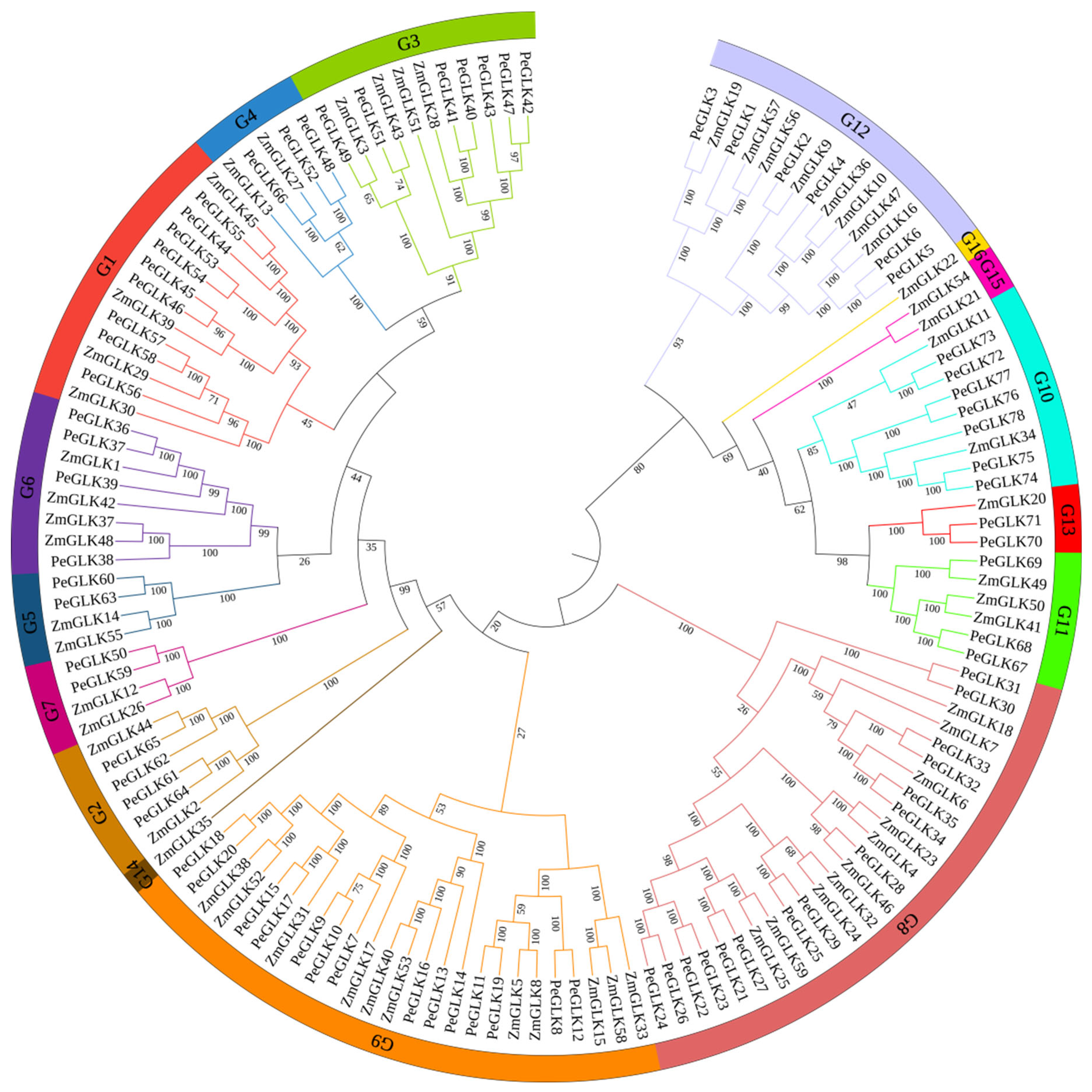 Molecules 27 05491 g002