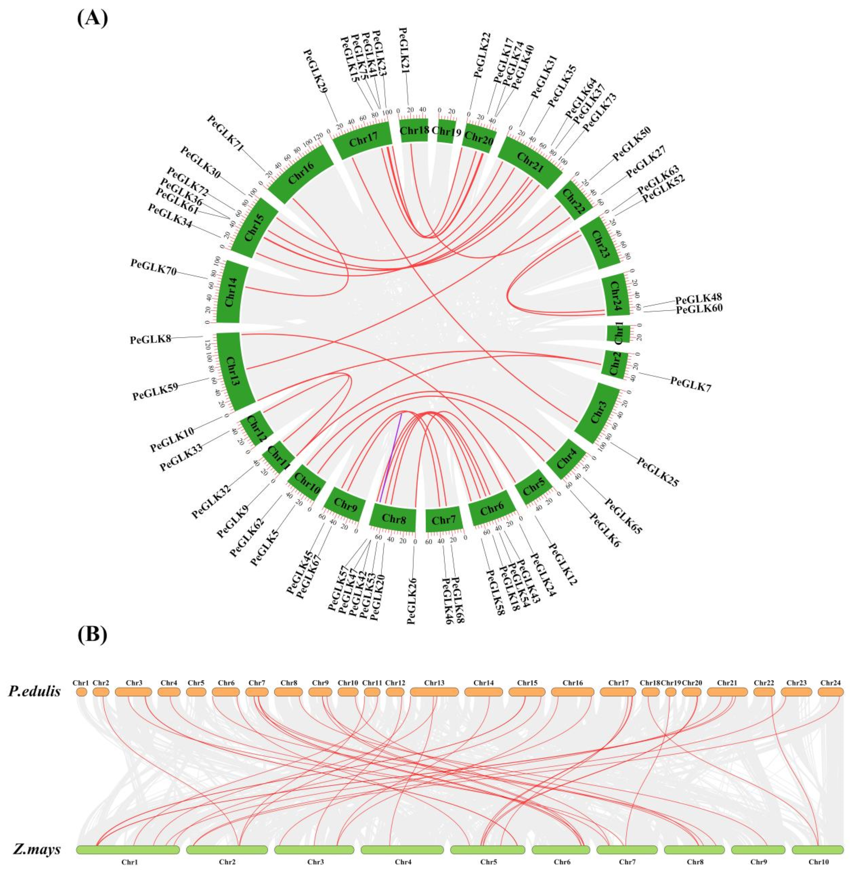 Molecules 27 05491 g007