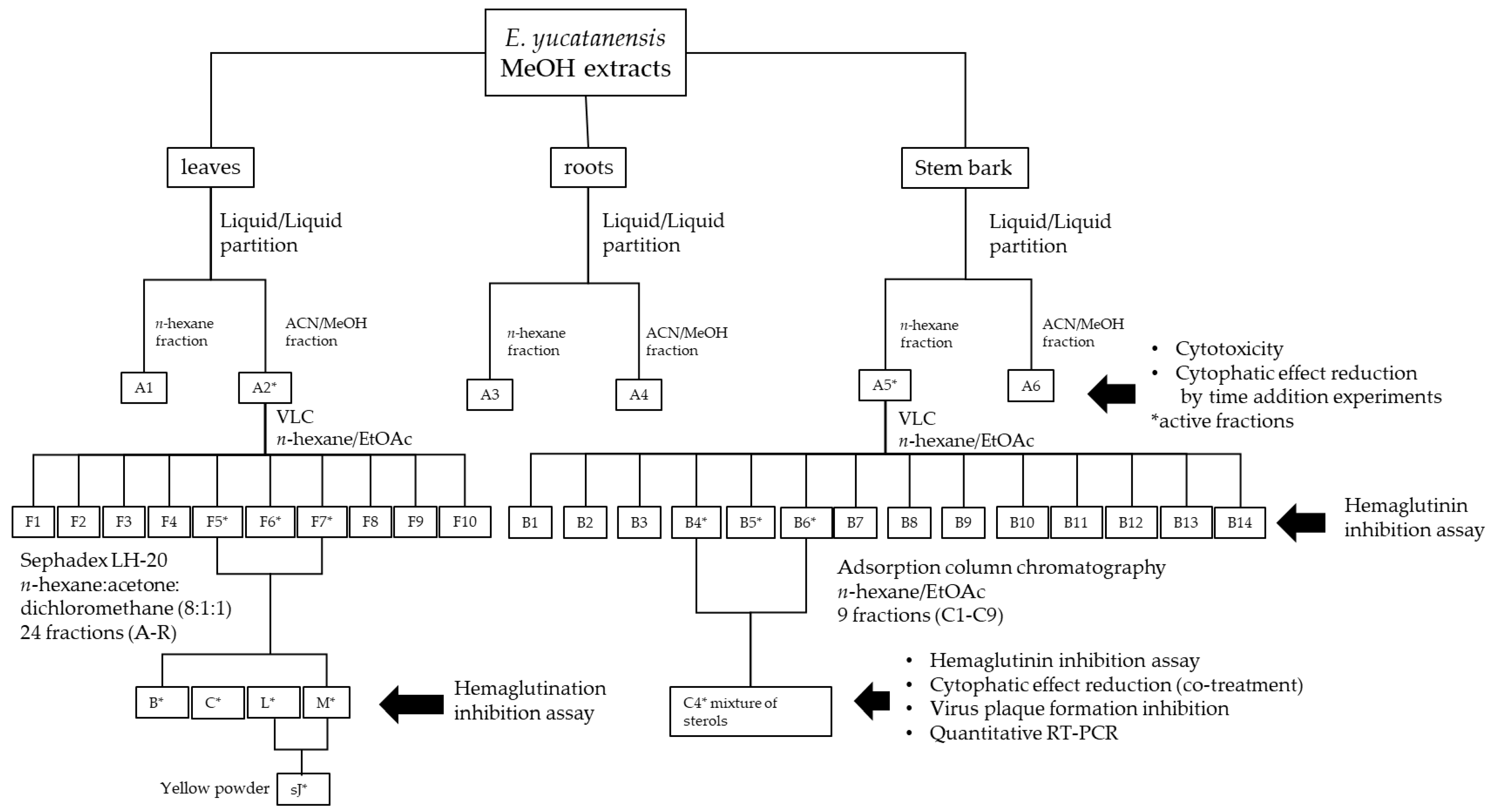 Molecules 27 05494 g001 550