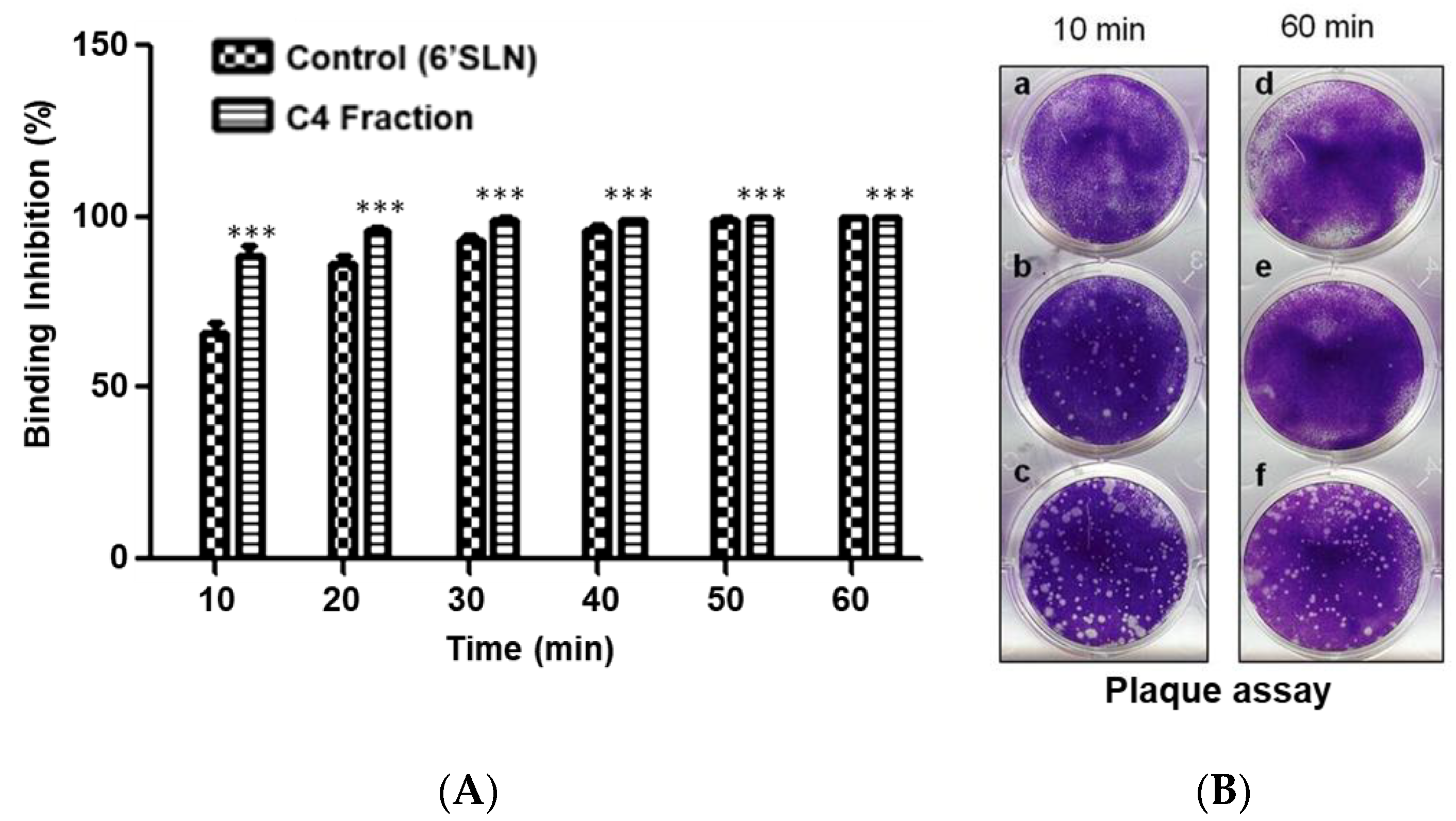 Molecules 27 05494 g005 550