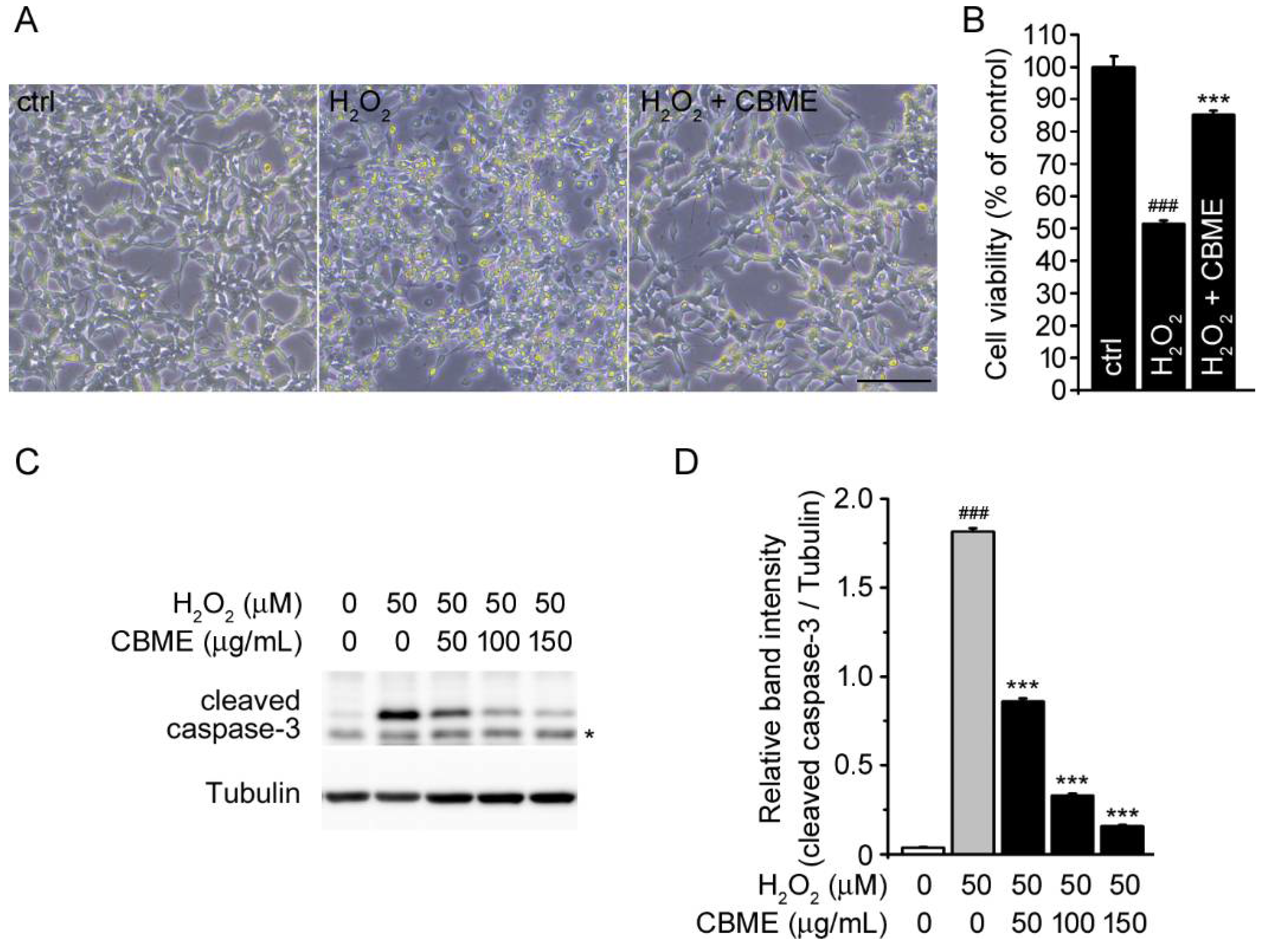 Molecules 27 05498 g002