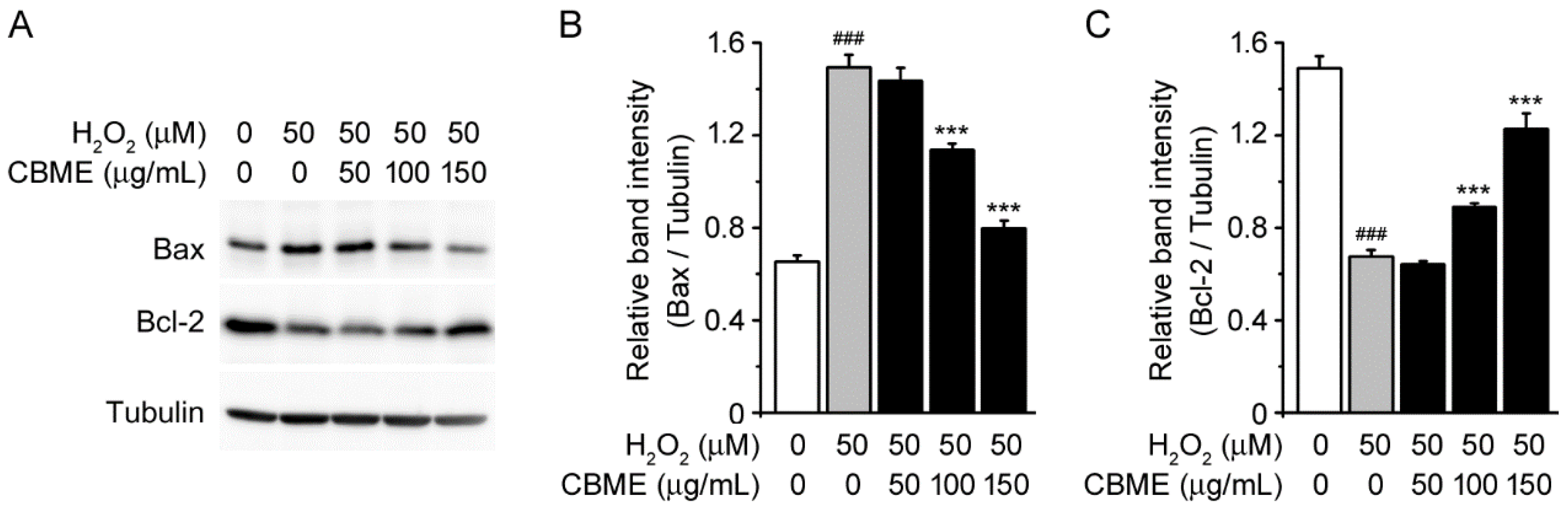 Molecules 27 05498 g003