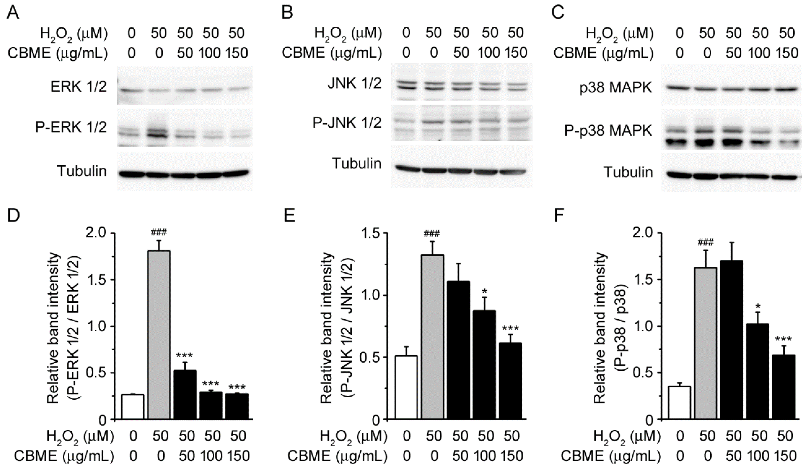 Molecules 27 05498 g004