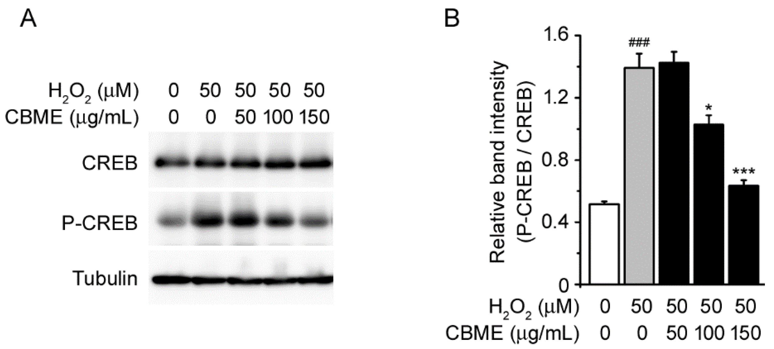 Molecules 27 05498 g005