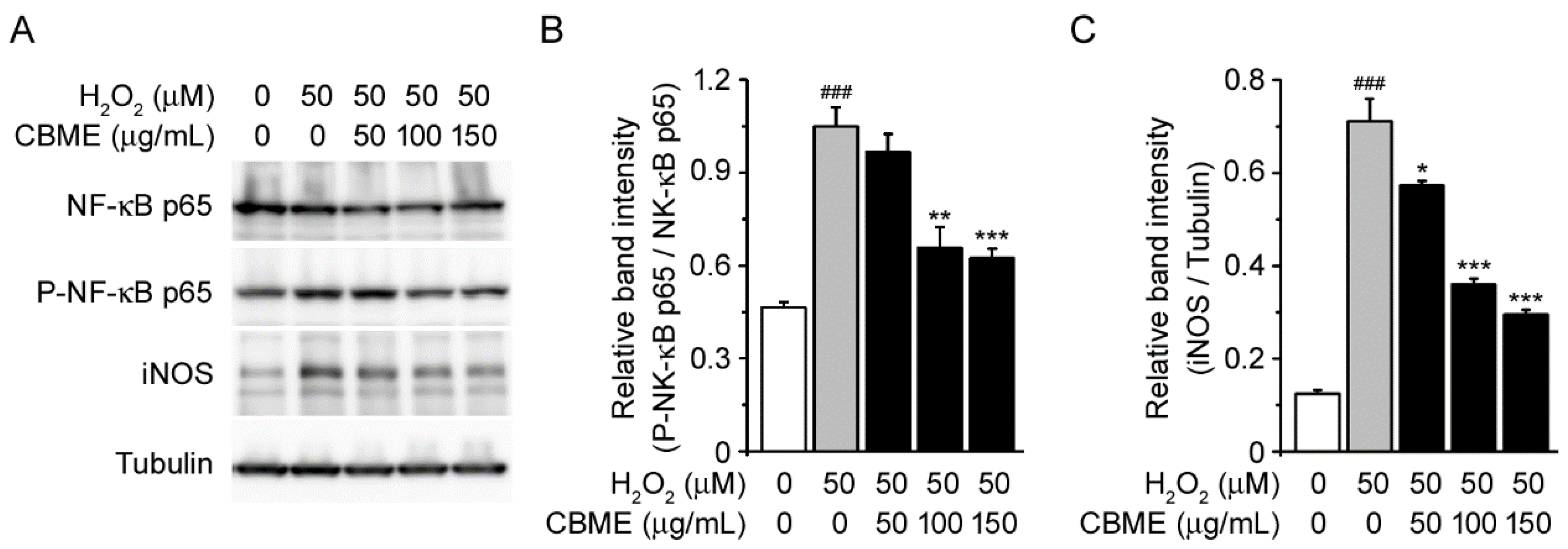 Molecules 27 05498 g006