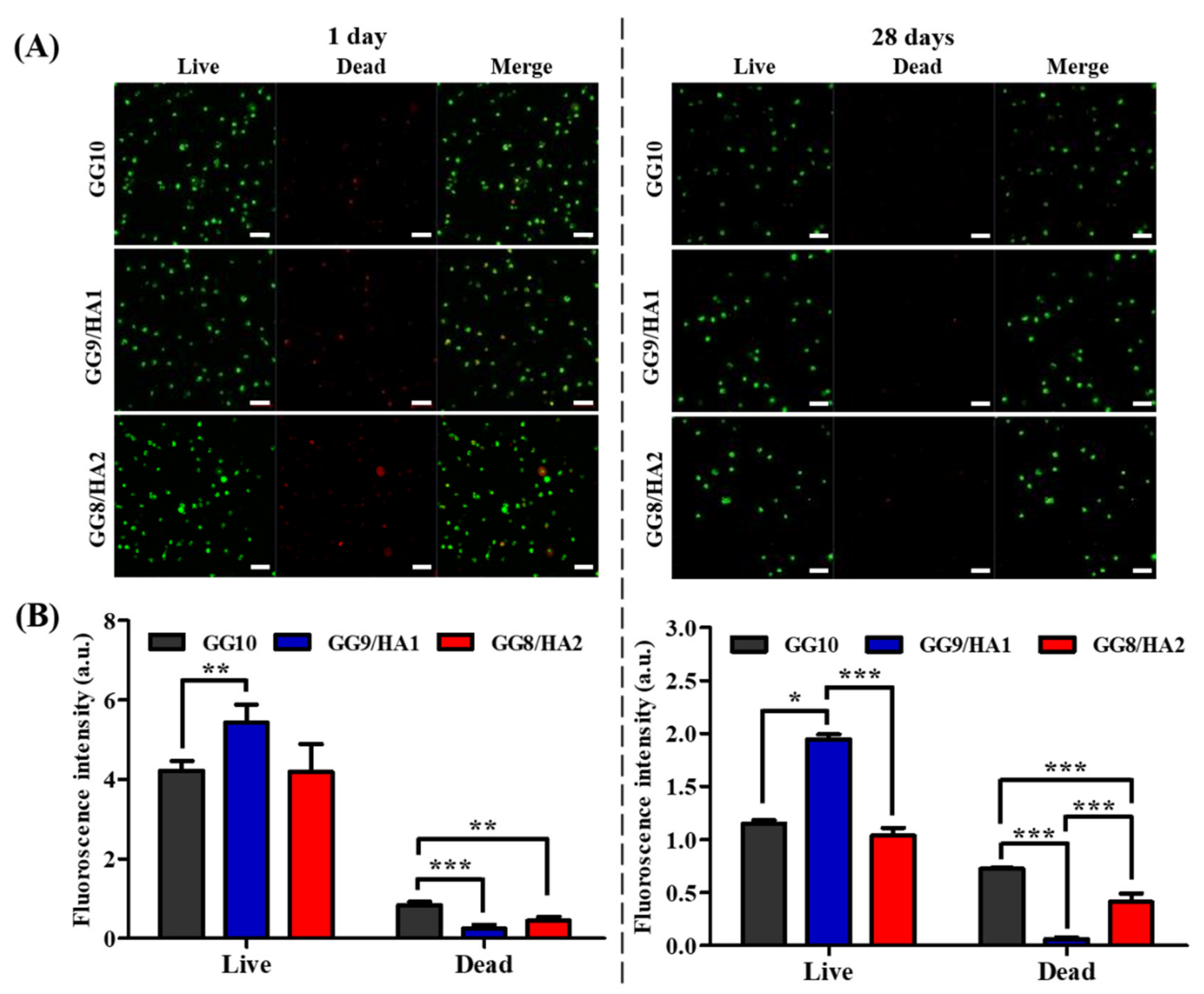 Molecules 27 05512 g005