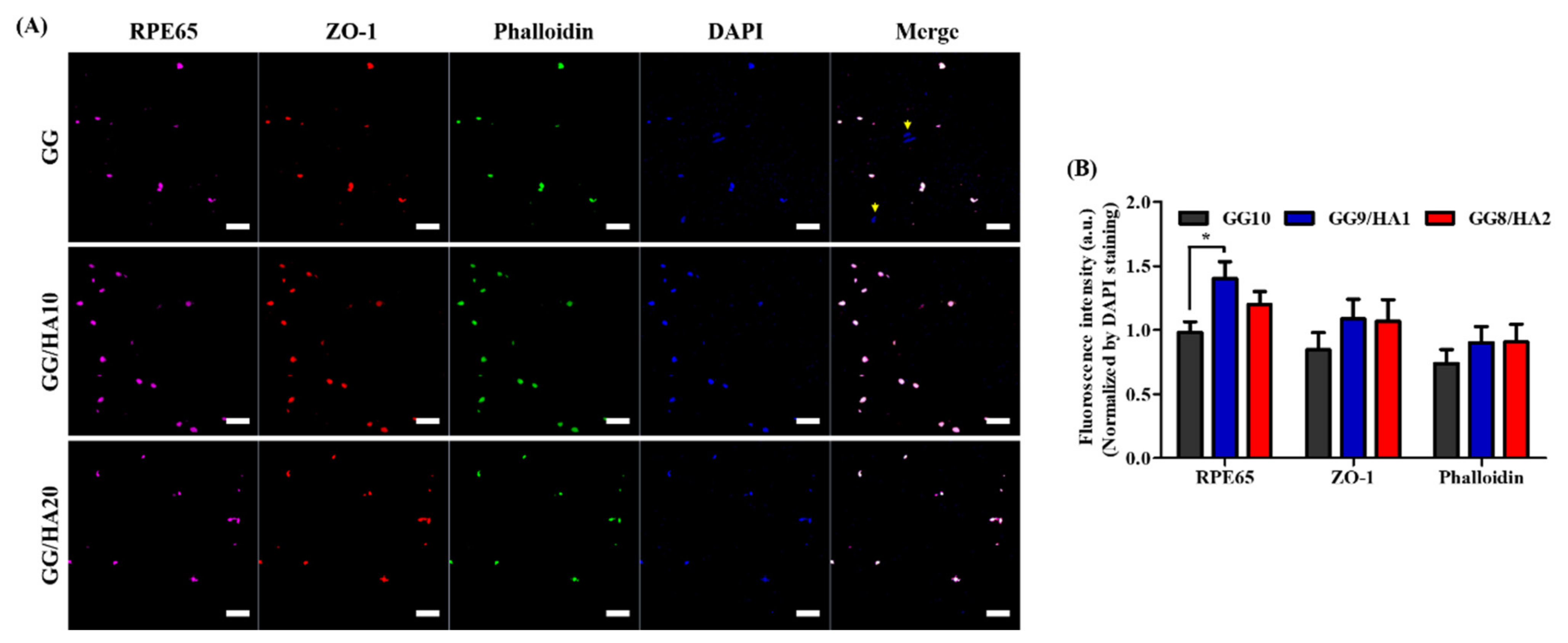 Molecules 27 05512 g007