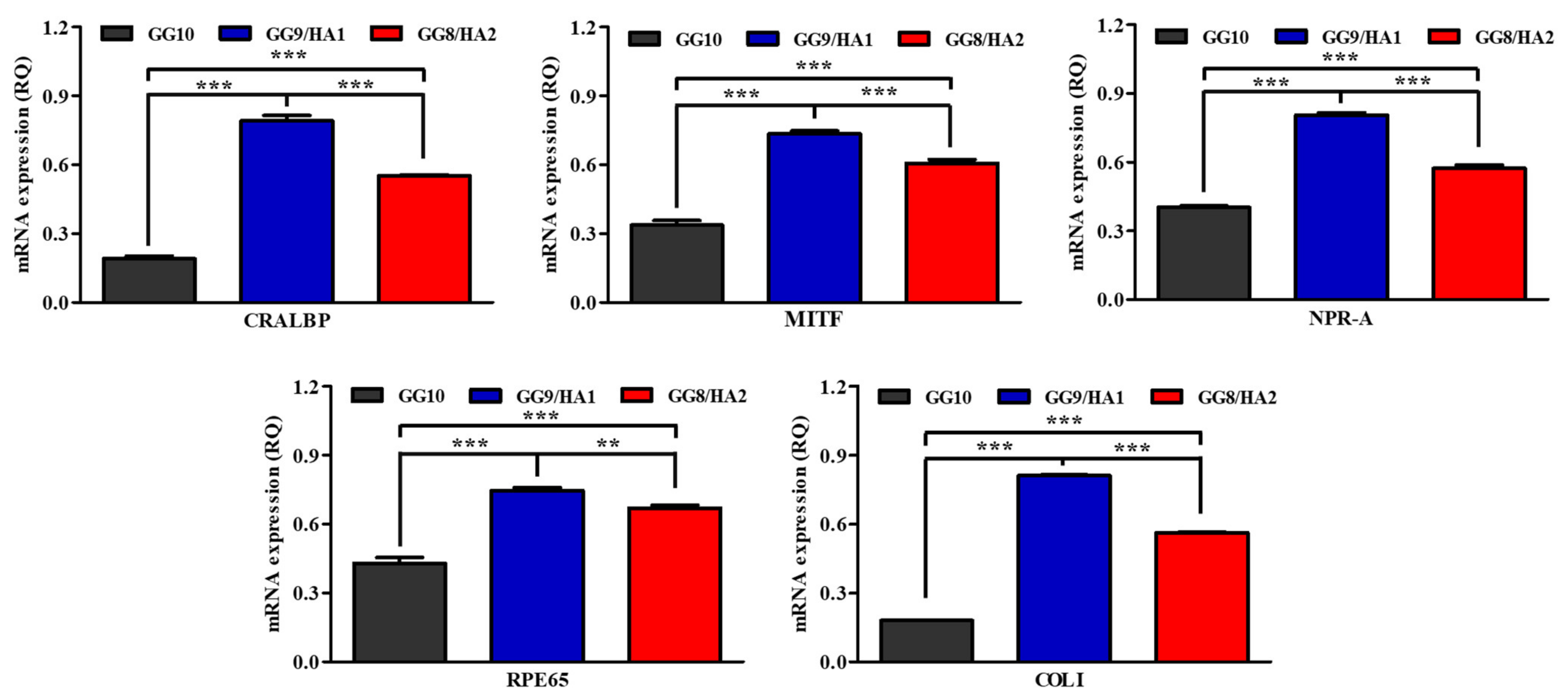 Molecules 27 05512 g008