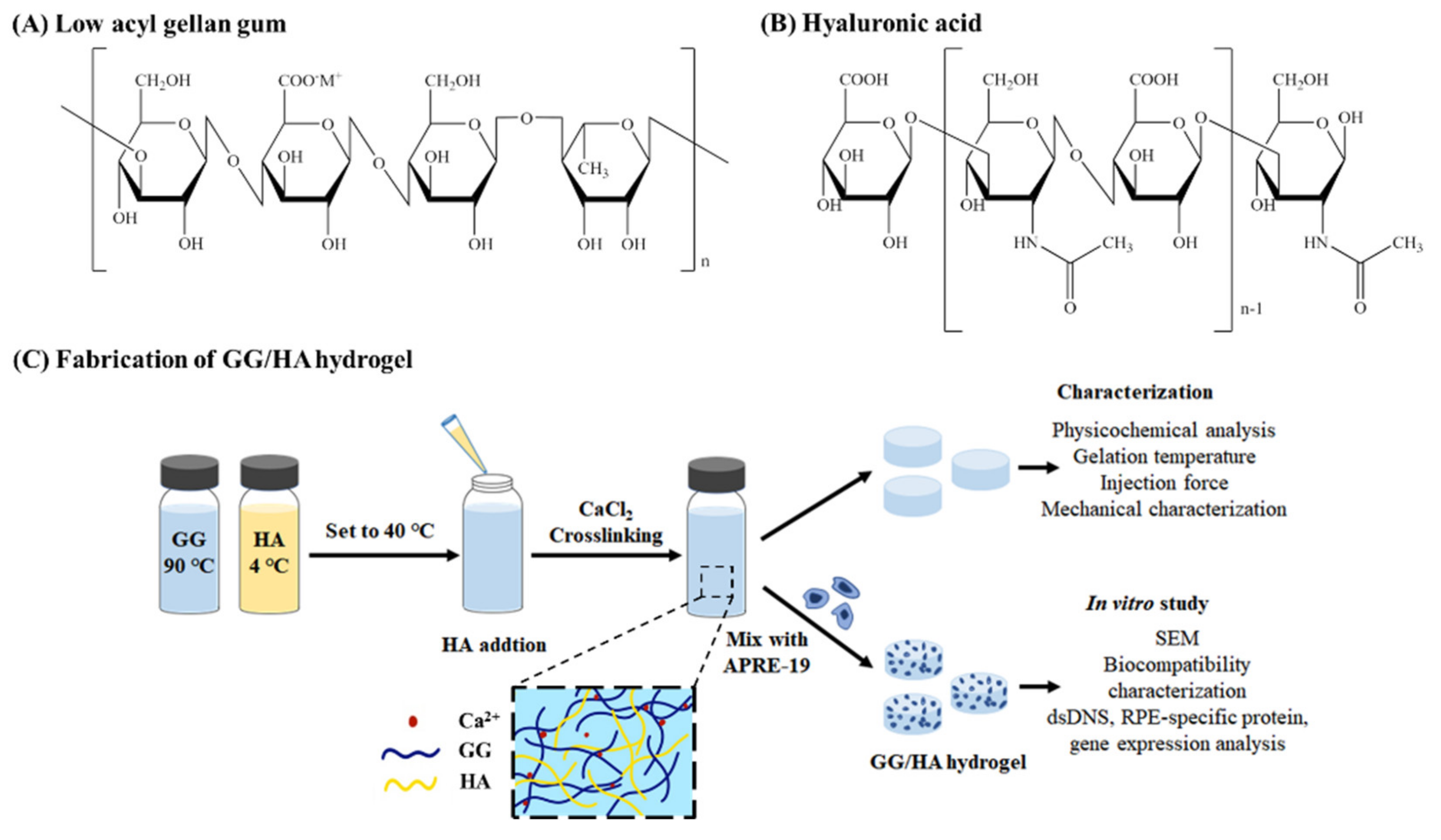Molecules 27 05512 sch001