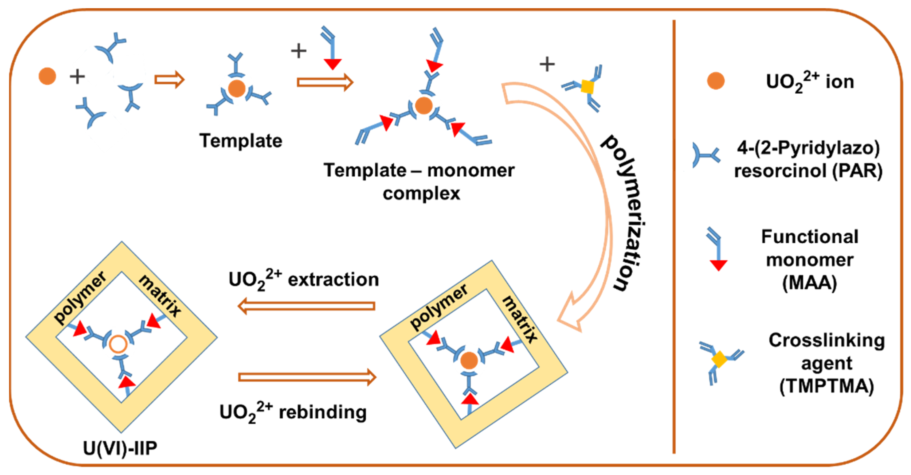 Molecules 27 05516 g001