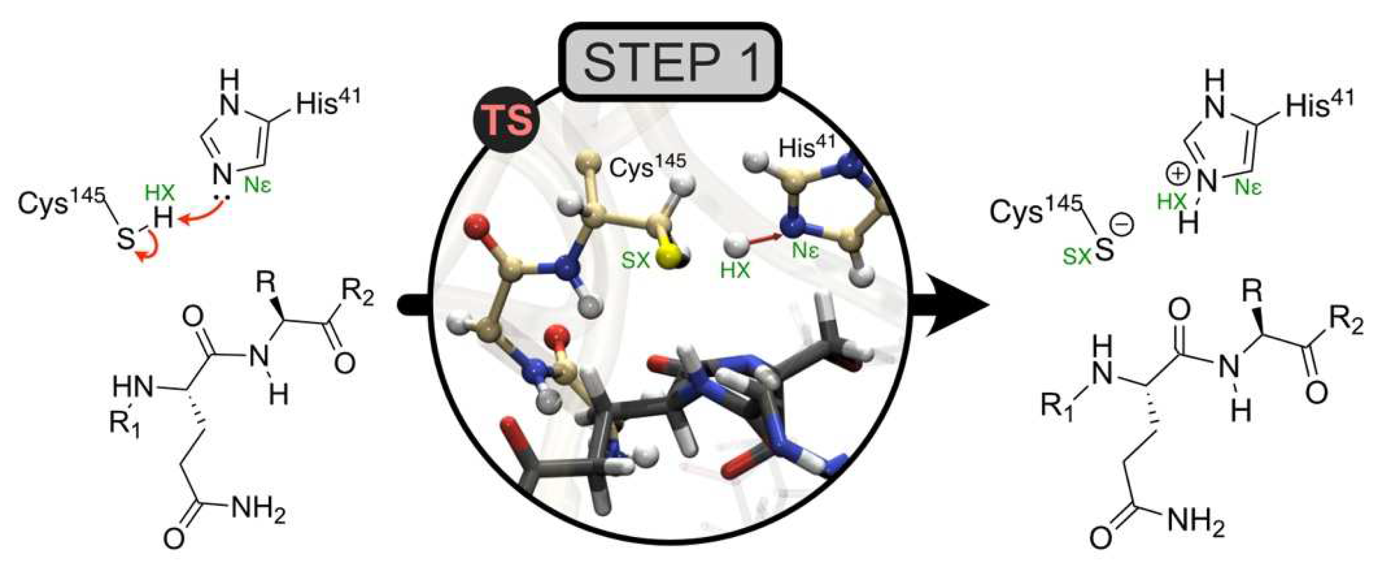 Molecules 27 05524 g005 550