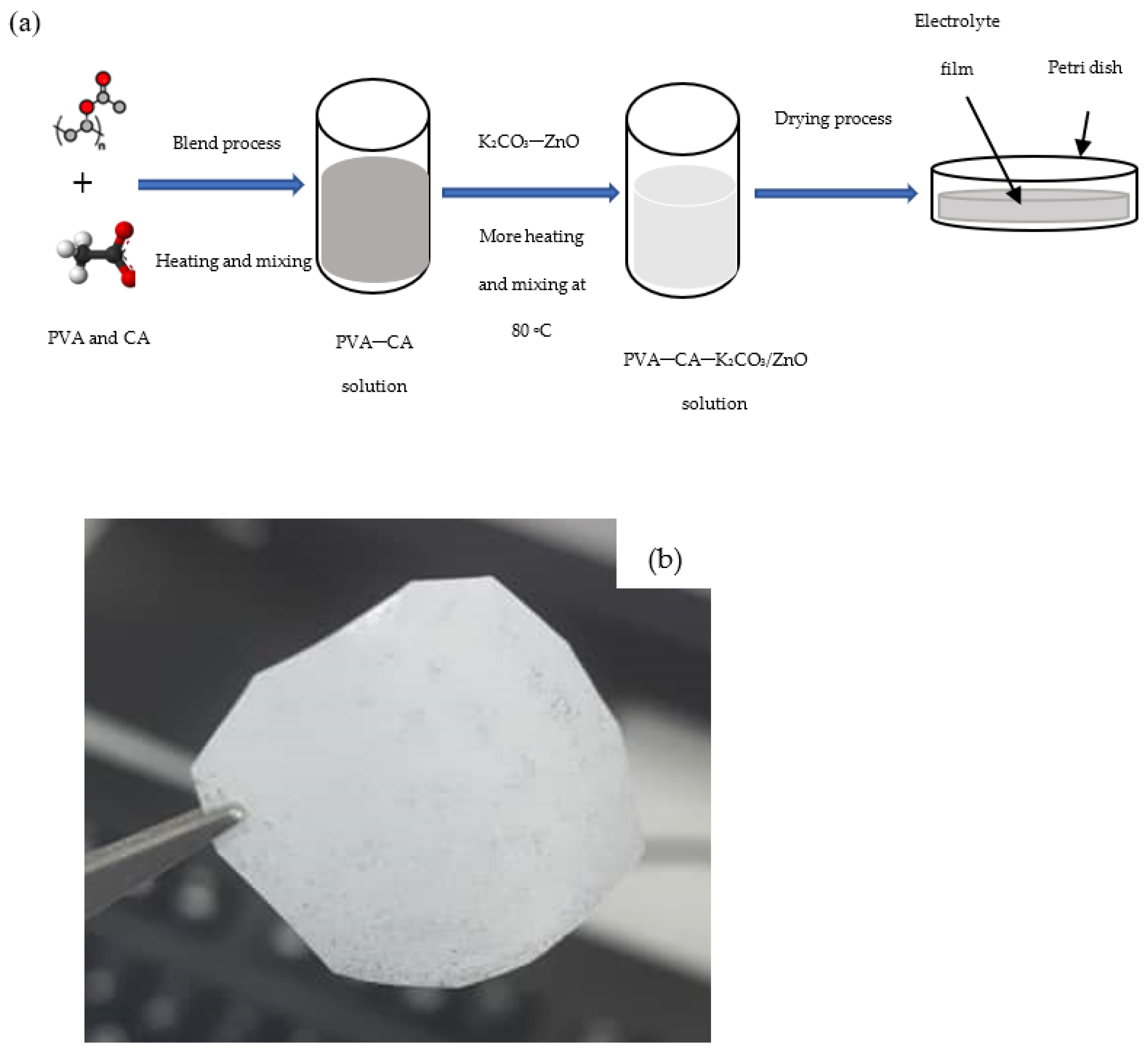 Molecules 27 05528 g001 550
