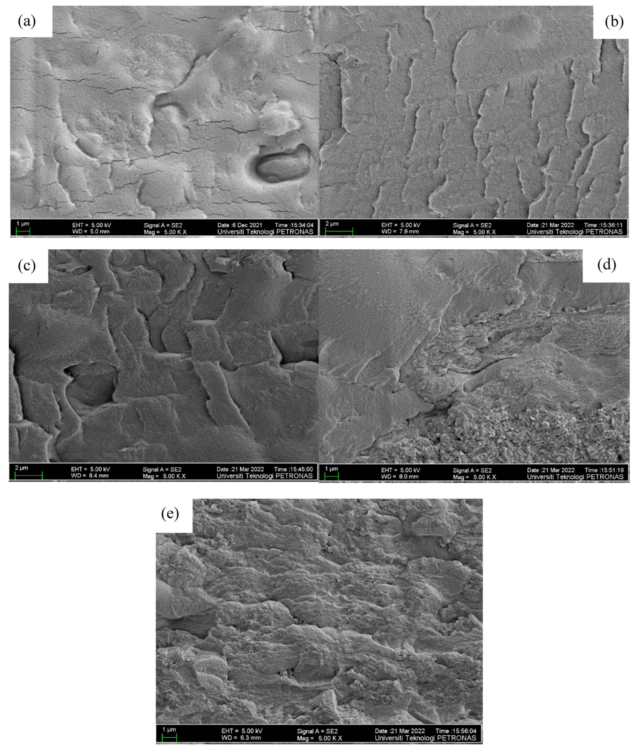 Molecules 27 05528 g004 550