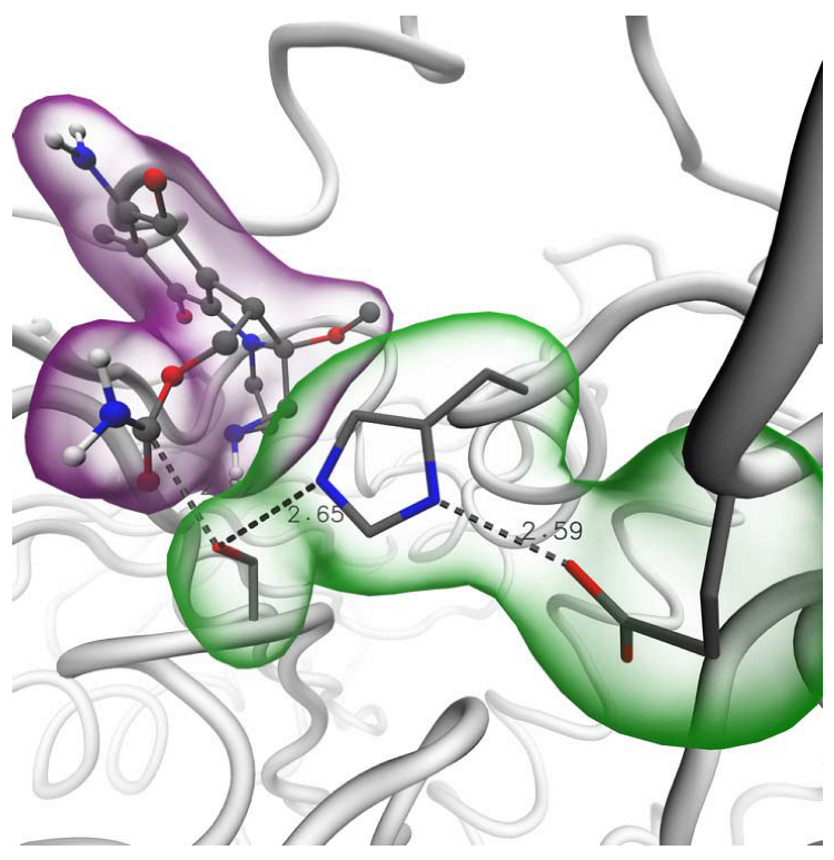 Molecules 27 05530 g007 550