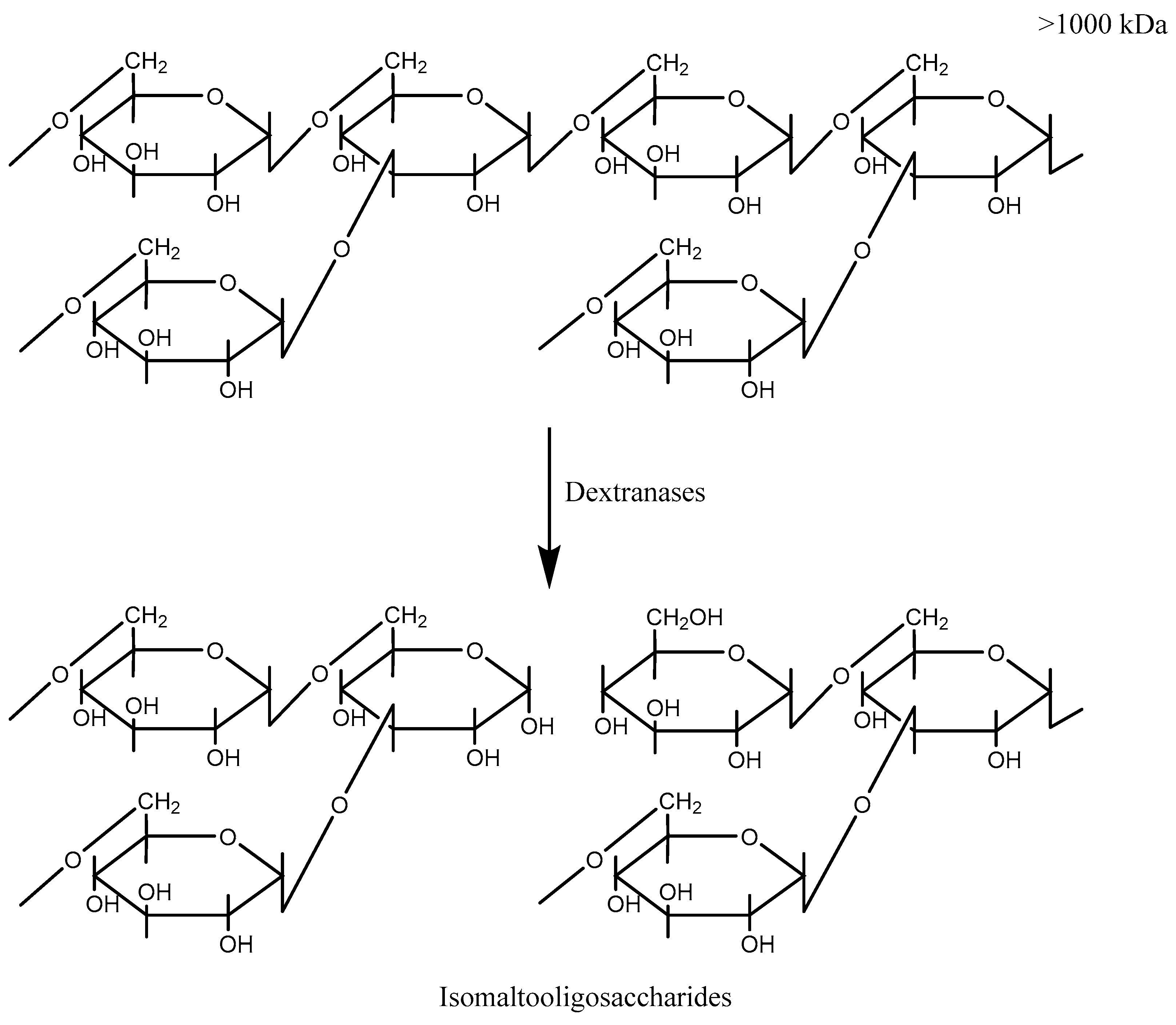 Molecules 27 05533 g001 Molecules 27 05533 g001