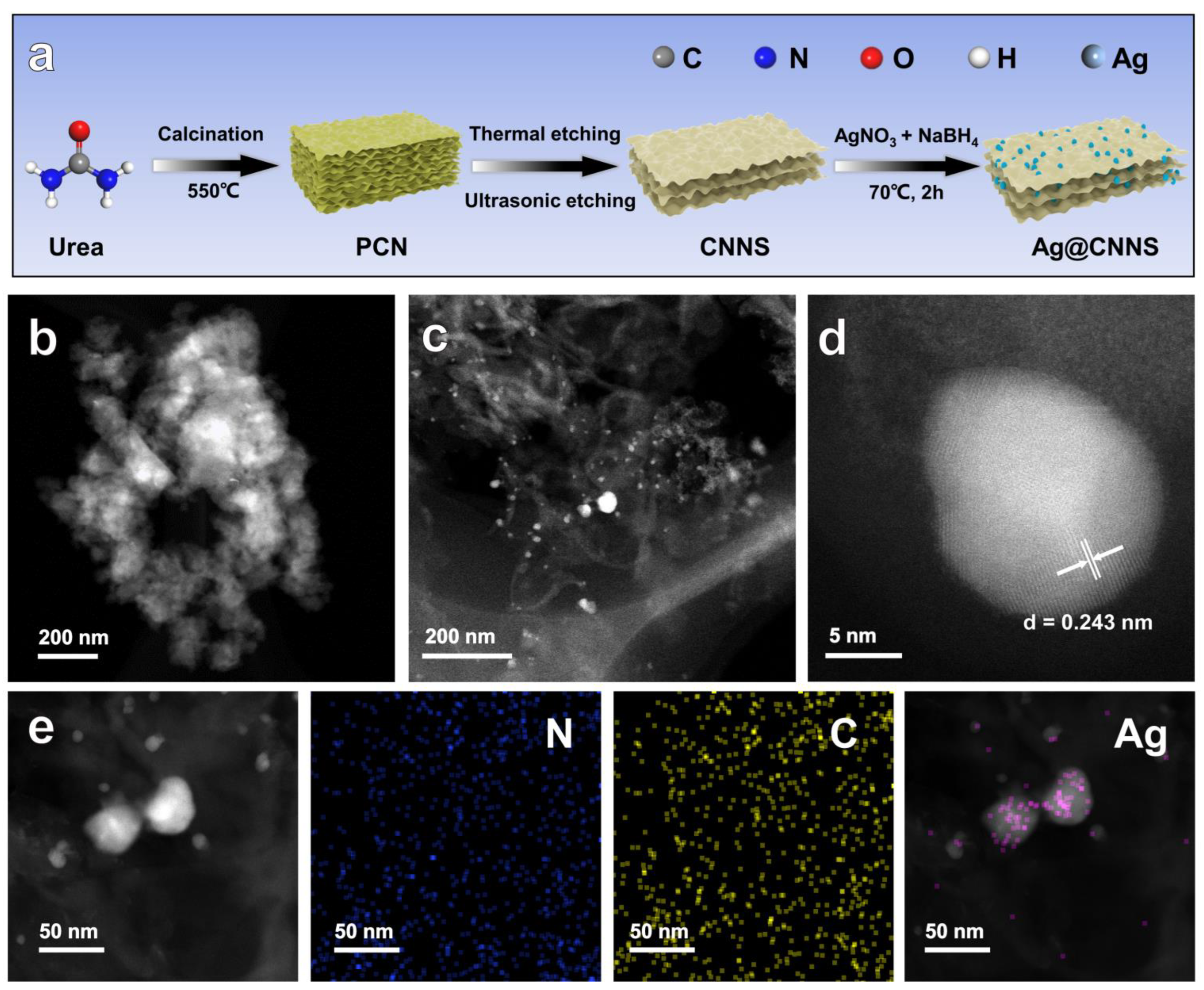 Molecules 27 05535 g001