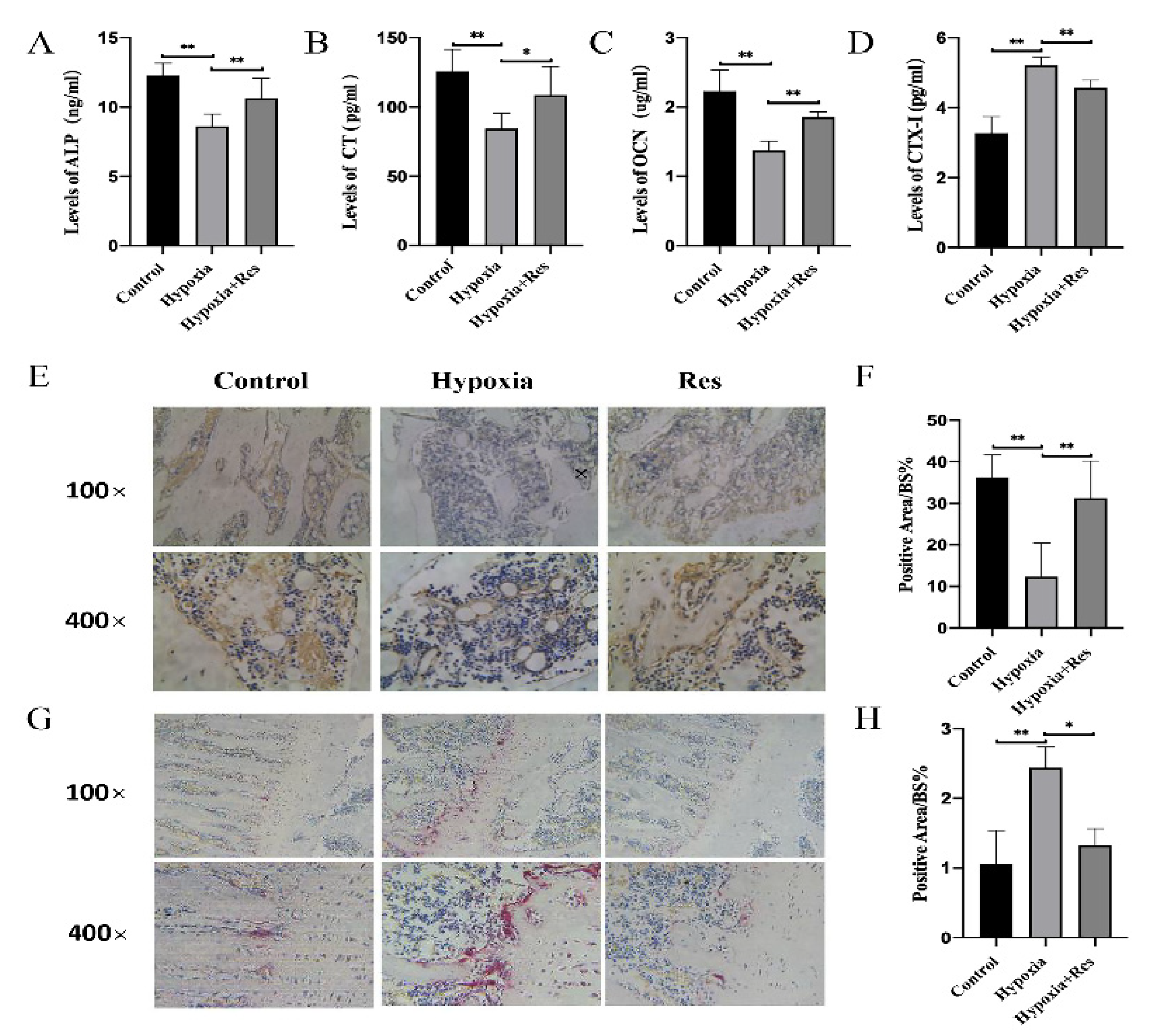 Molecules 27 05538 g005