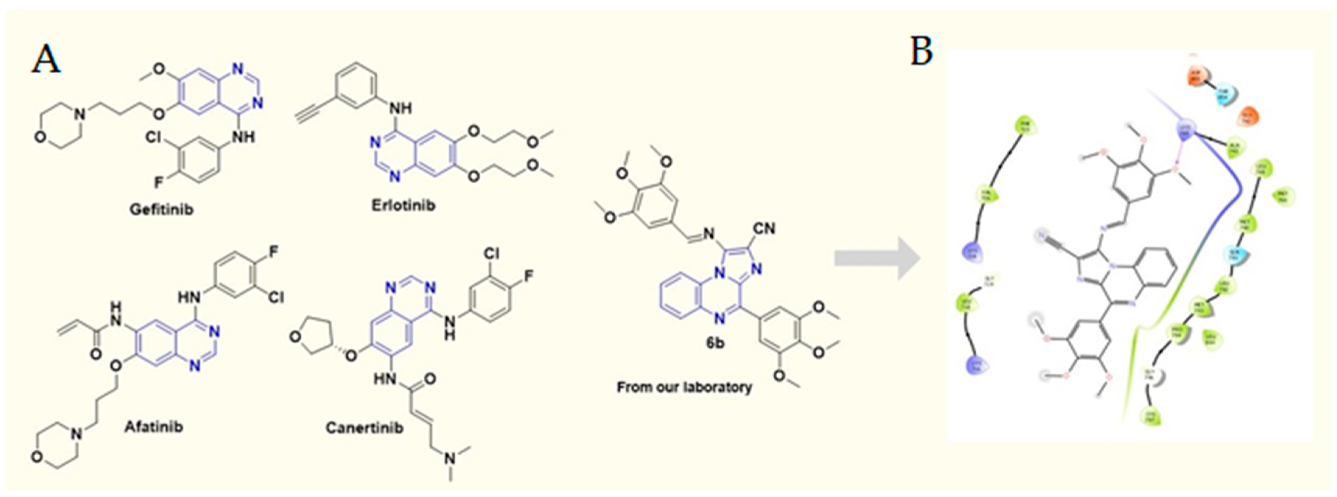 Molecules 27 05540 g001 550