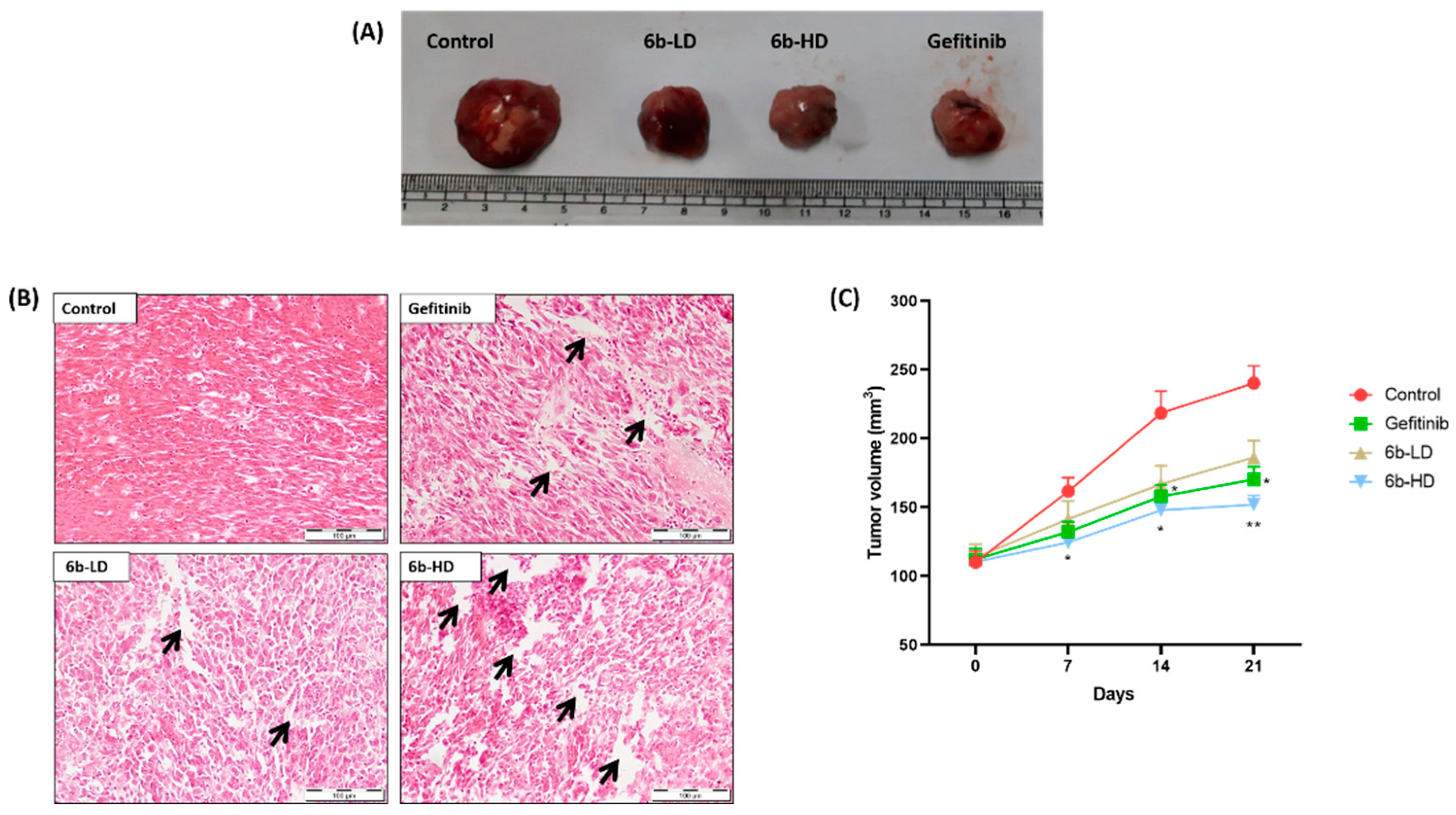 Molecules 27 05540 g003 550