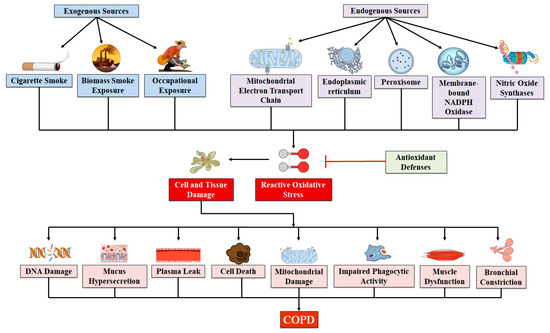 Therapeutic Potential of Small Molecules Targeting Oxidative