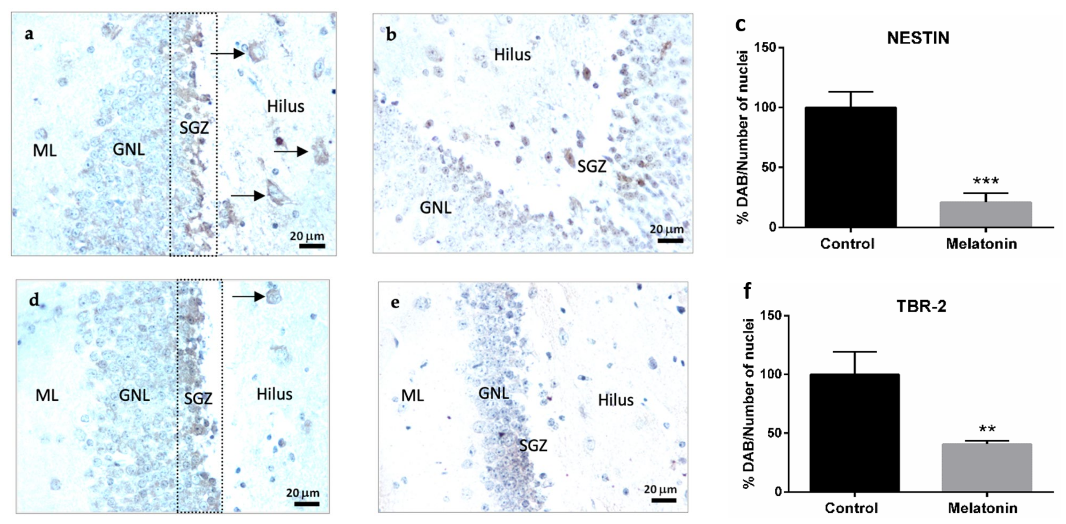 Molecules 27 05543 g004a 550