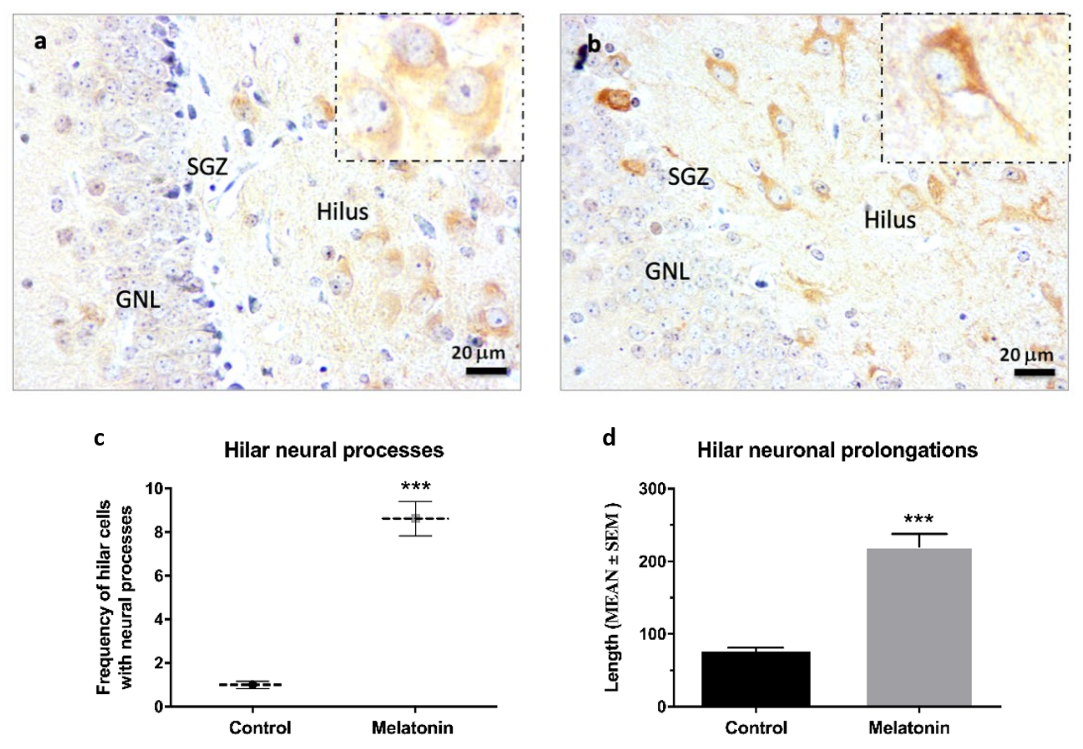 Molecules 27 05543 g005 550