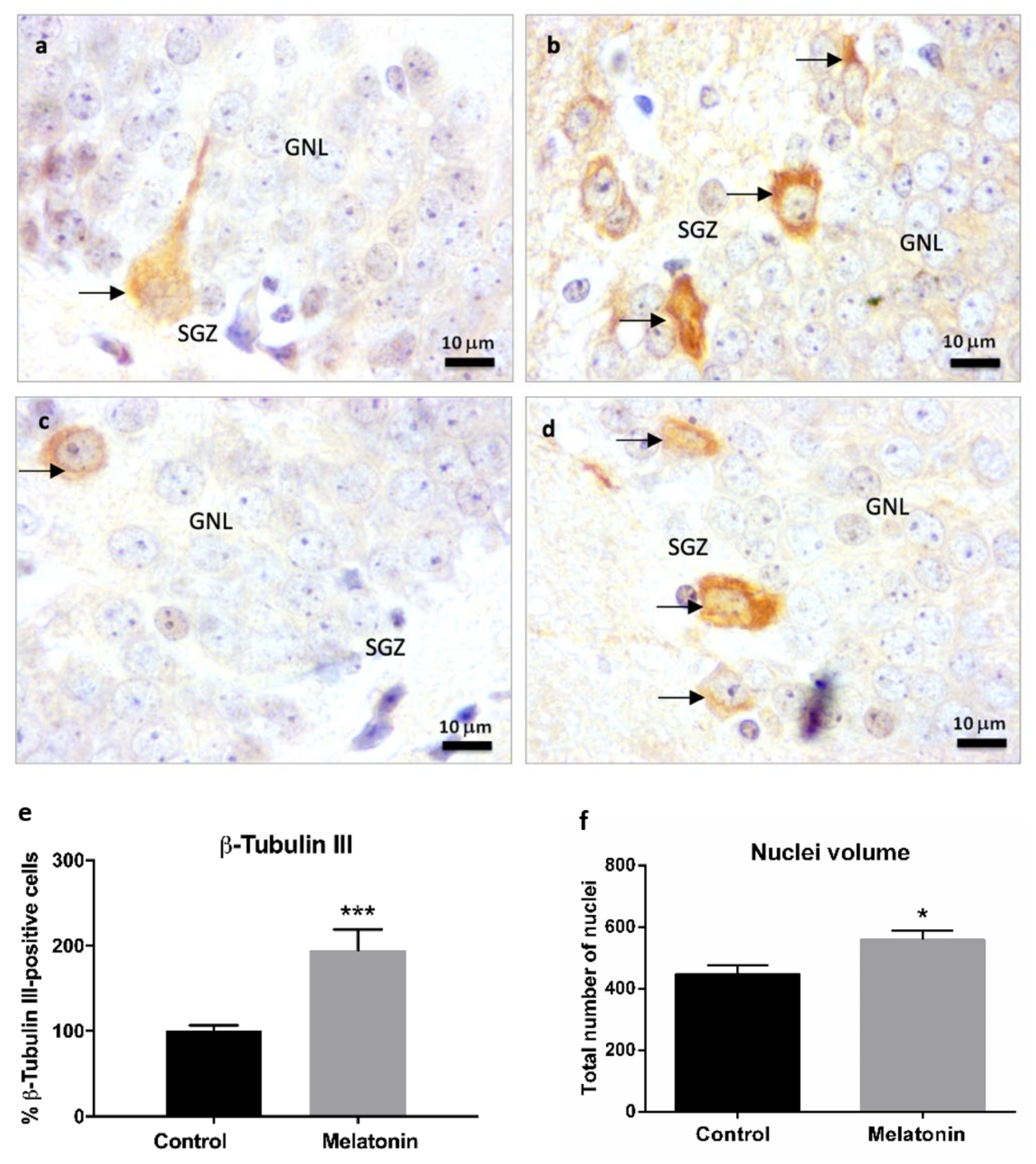 Molecules 27 05543 g006 550