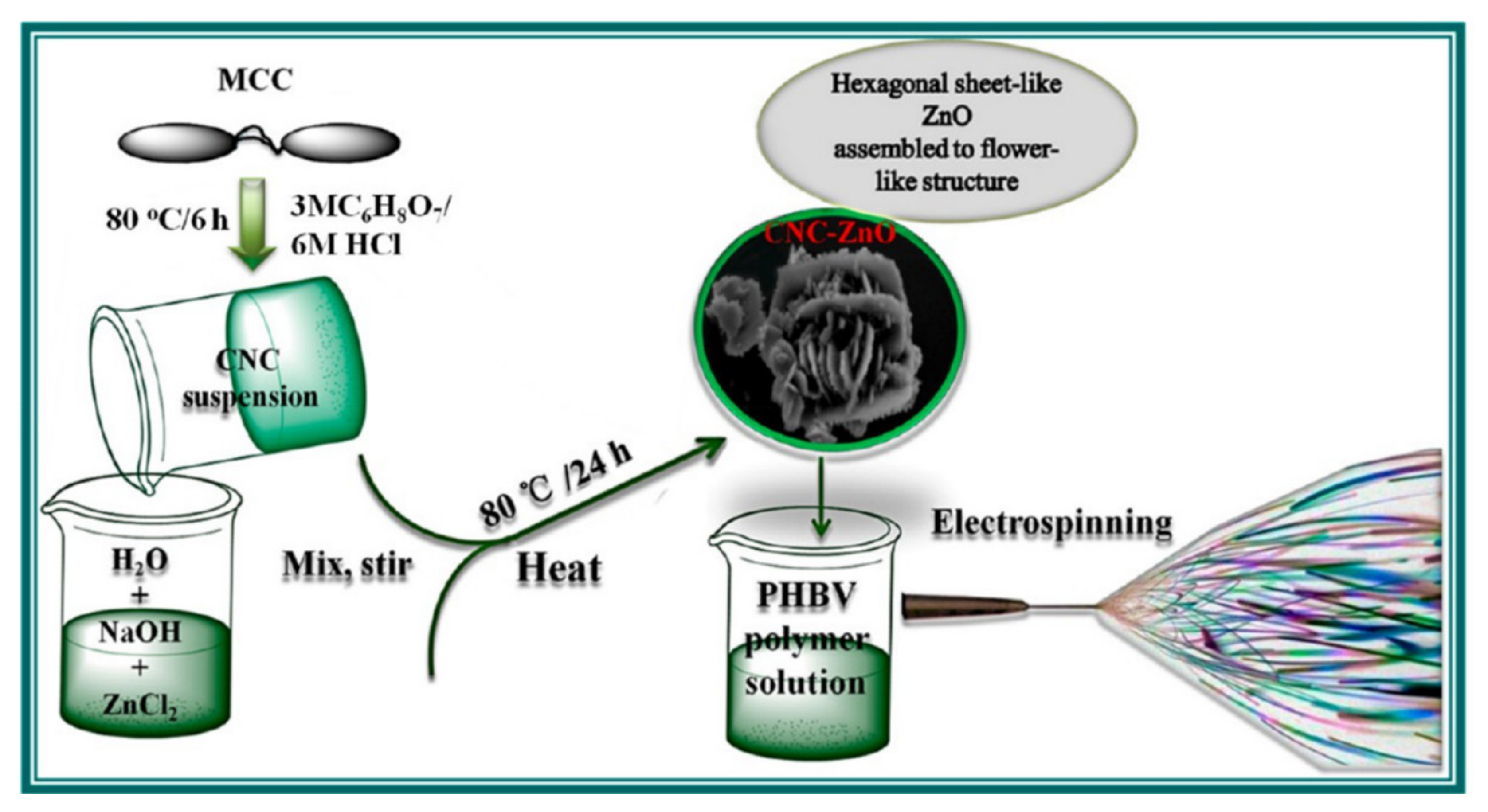 Molecules 27 05548 g004 550