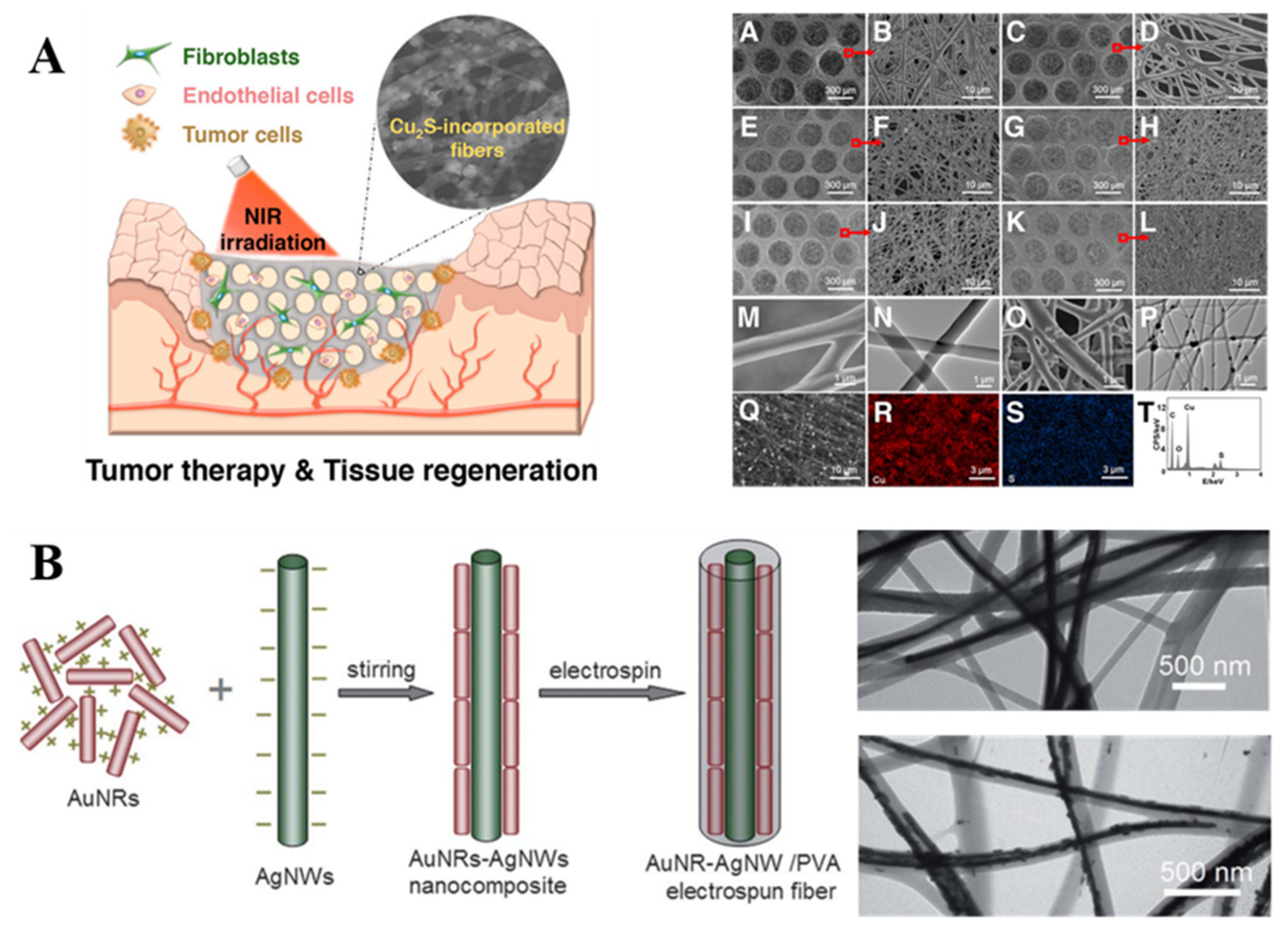 Molecules 27 05548 g006 550