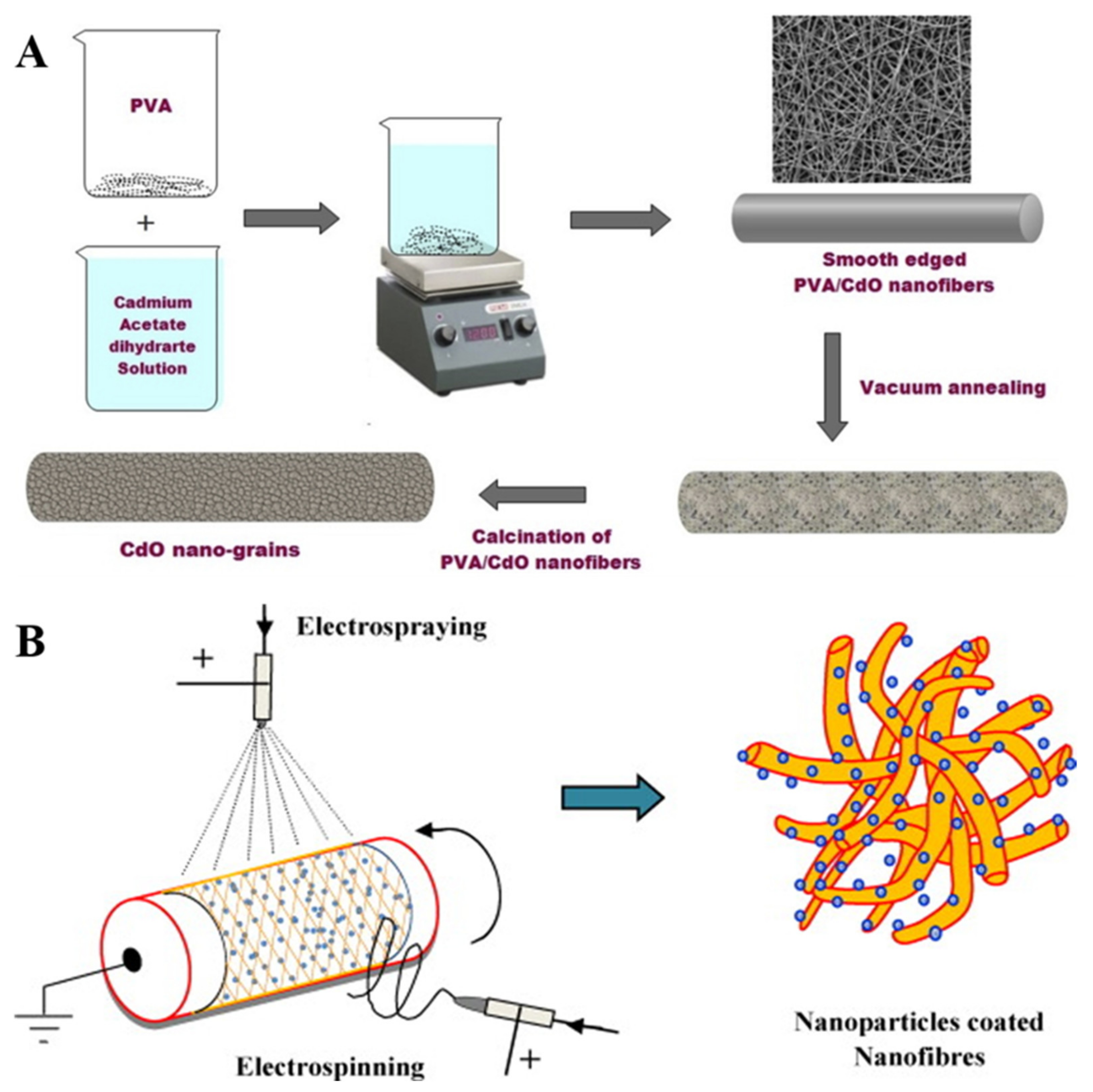 Molecules 27 05548 g007 550