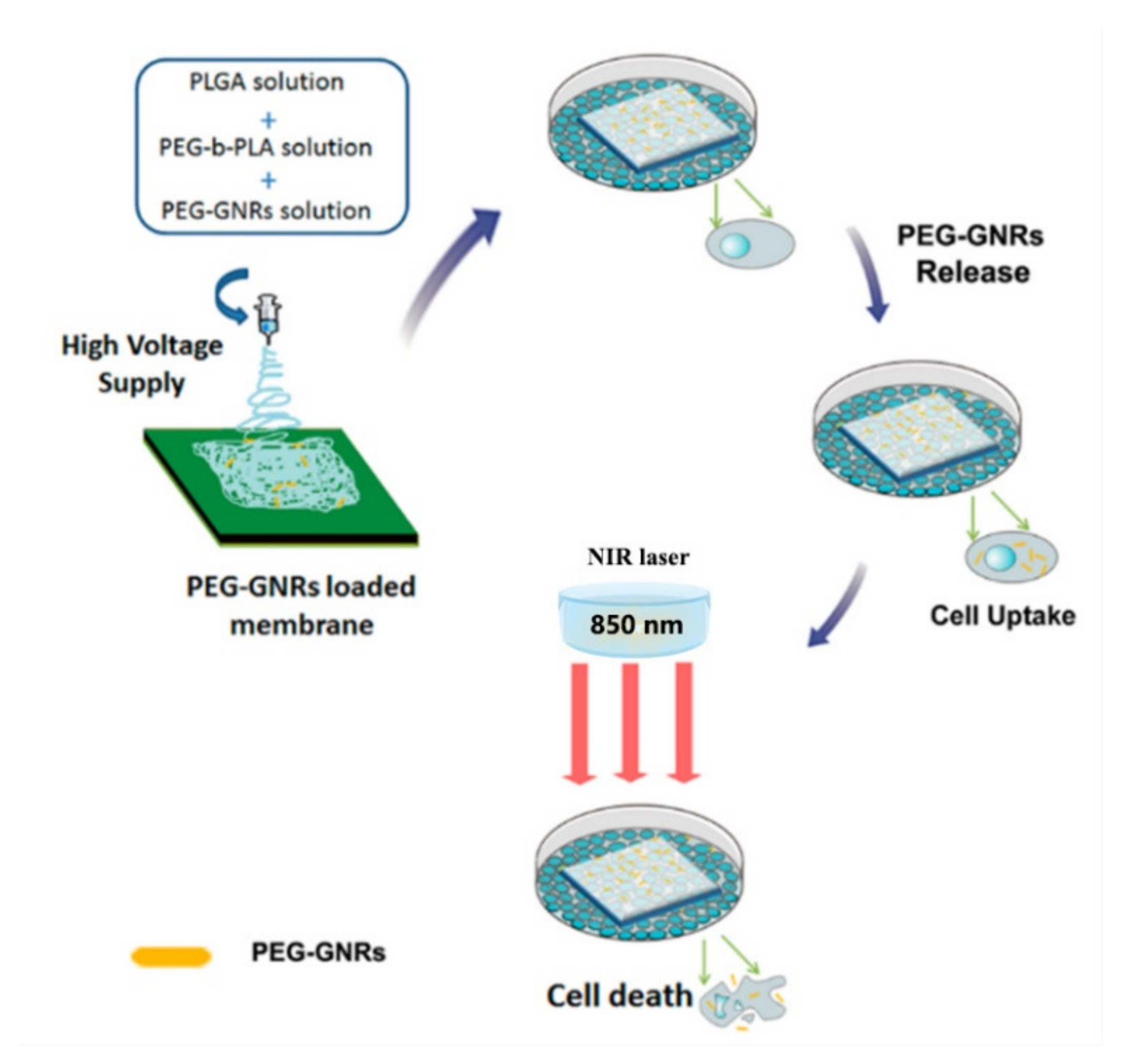 Molecules 27 05548 g010 550