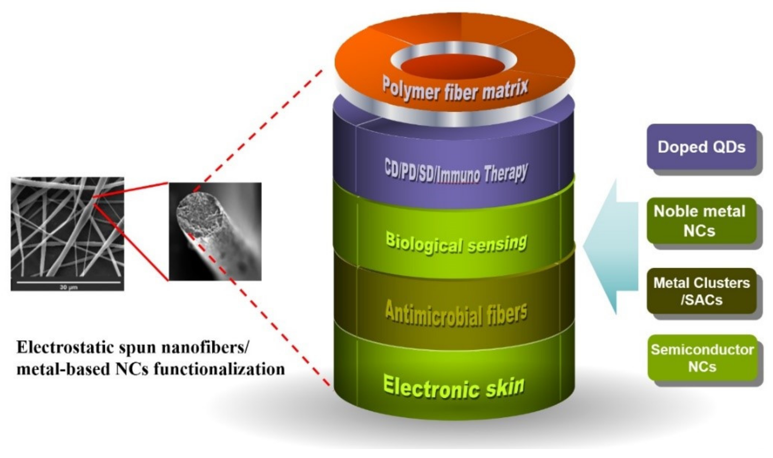 Molecules 27 05548 g011 550