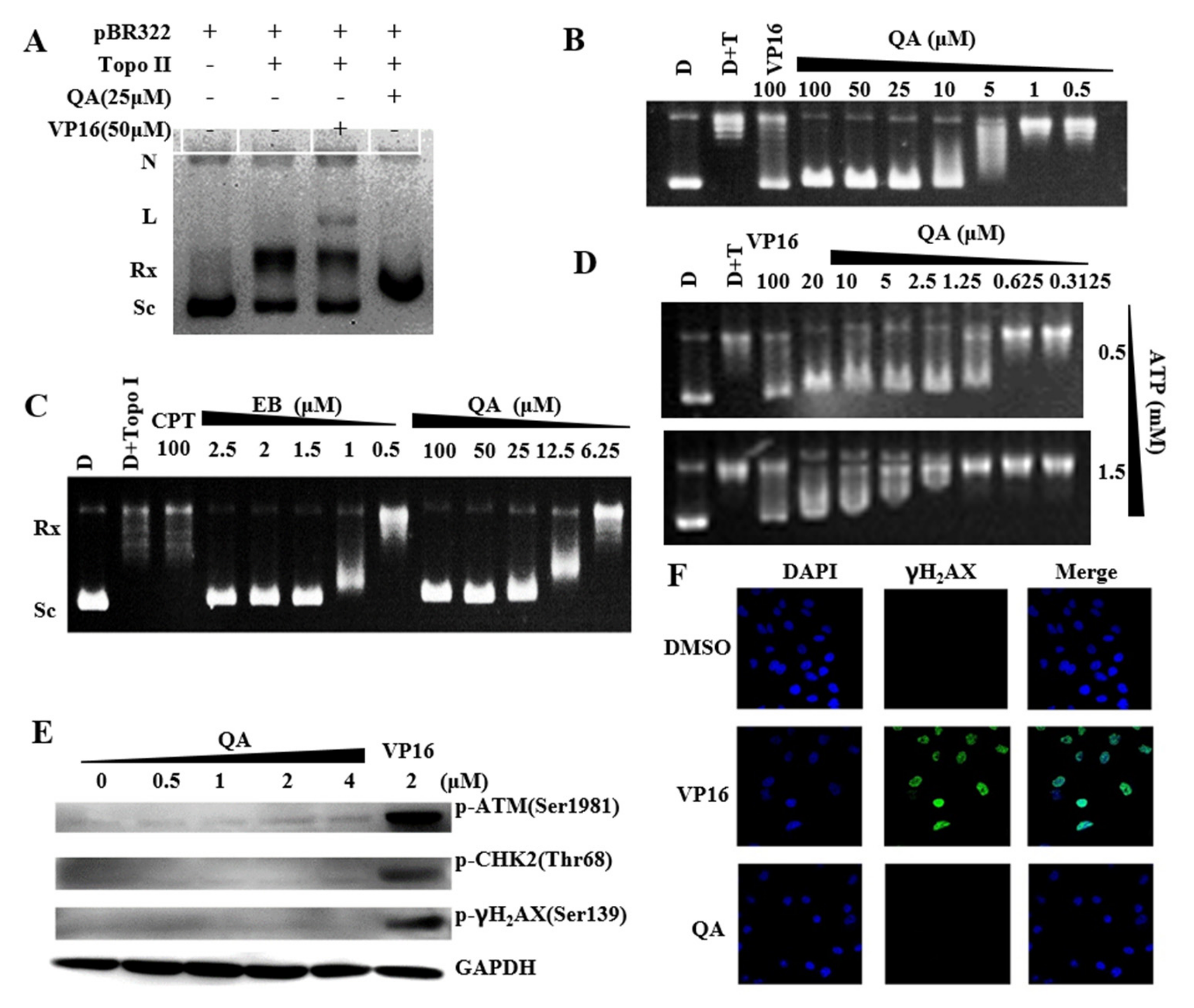 Molecules 27 05561 g002